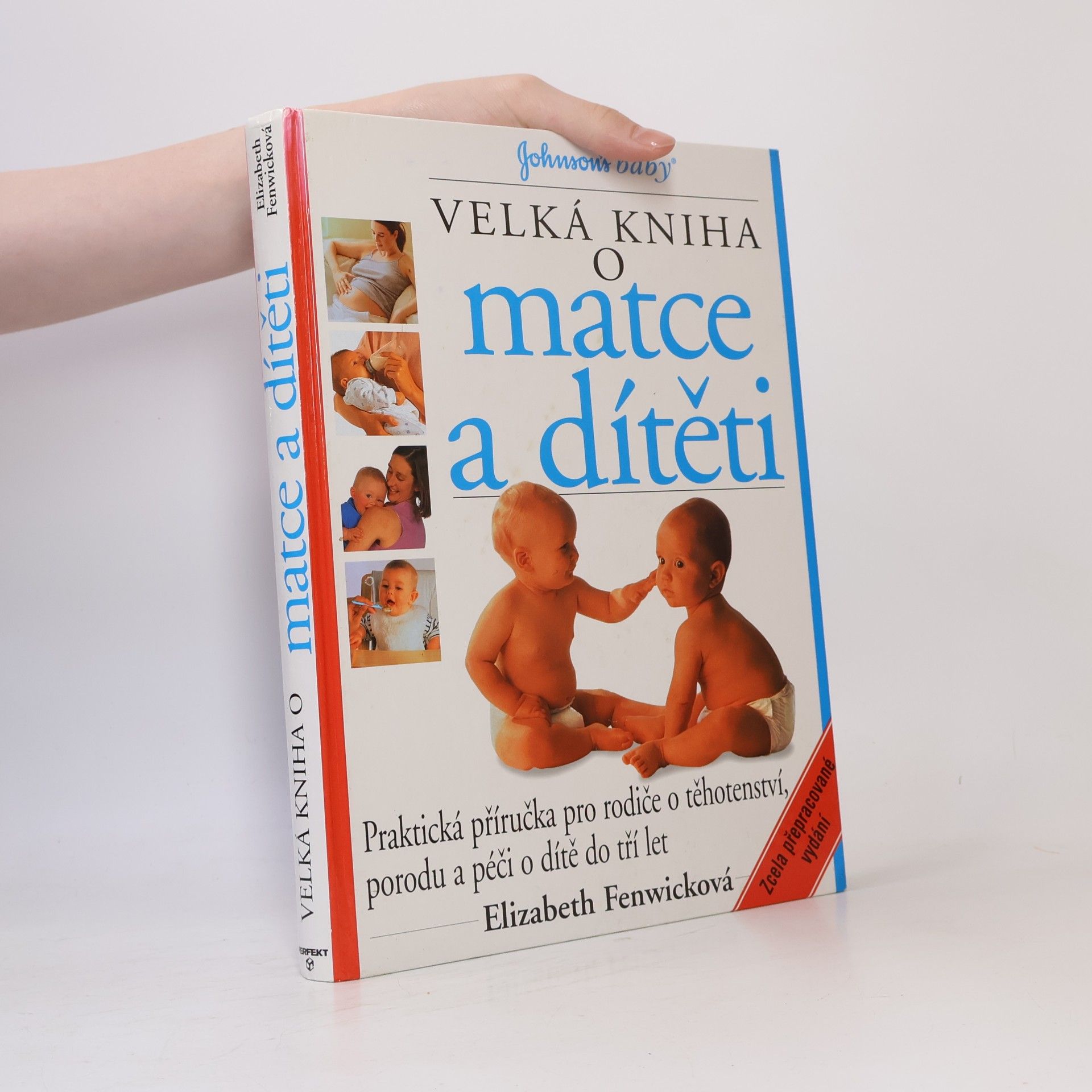 Elizabeth Fenwick Velká kniha o matce a dítěti