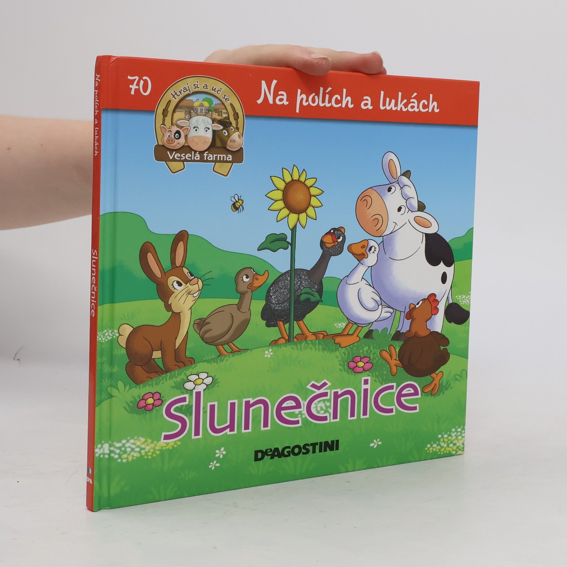 Amelia Bruni Na polích a lukách 70. Slunečnice