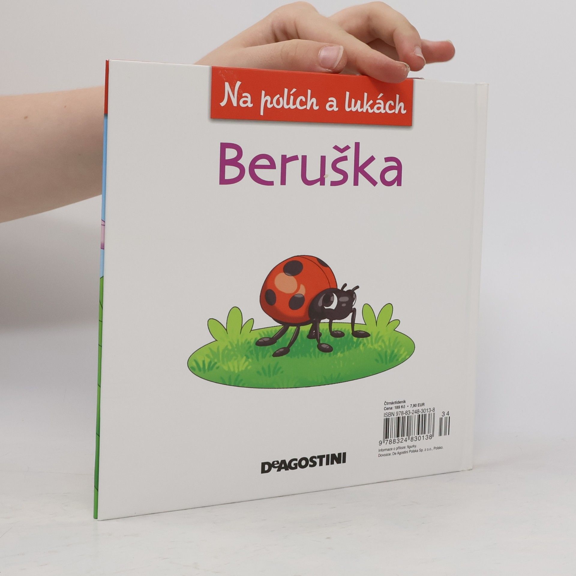 Amelia Bruni Beruška