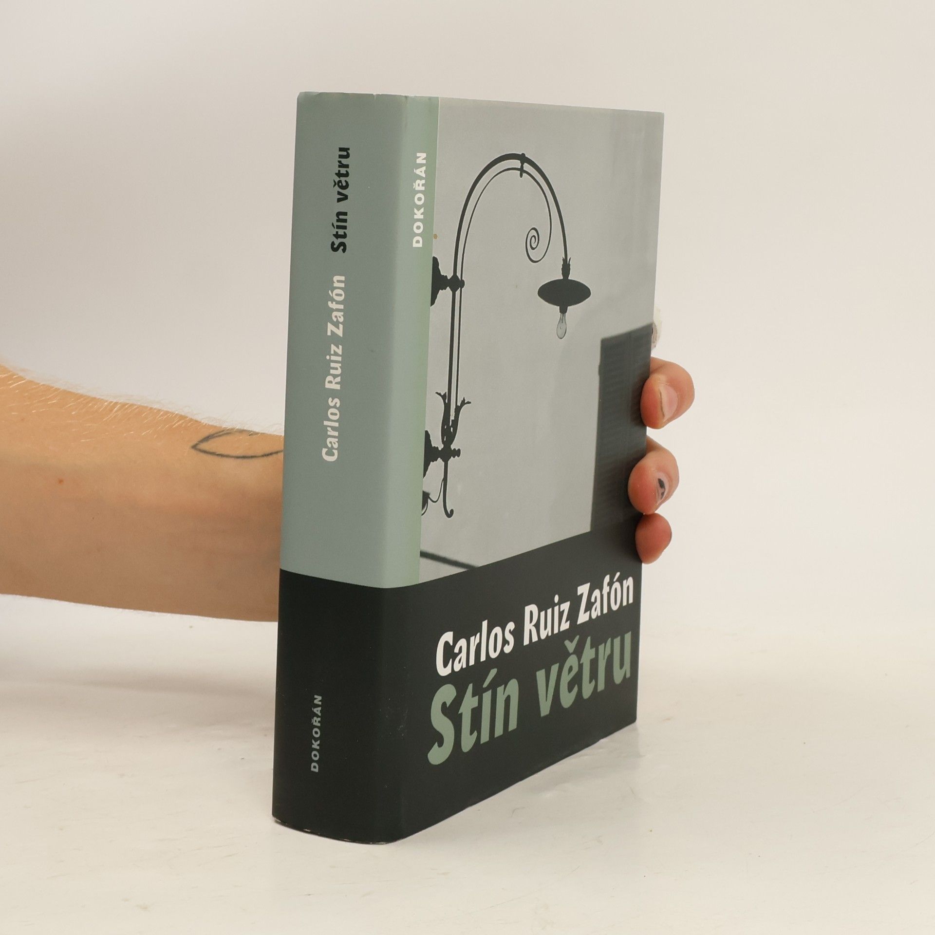 Carlos Ruiz Safon Stín větru