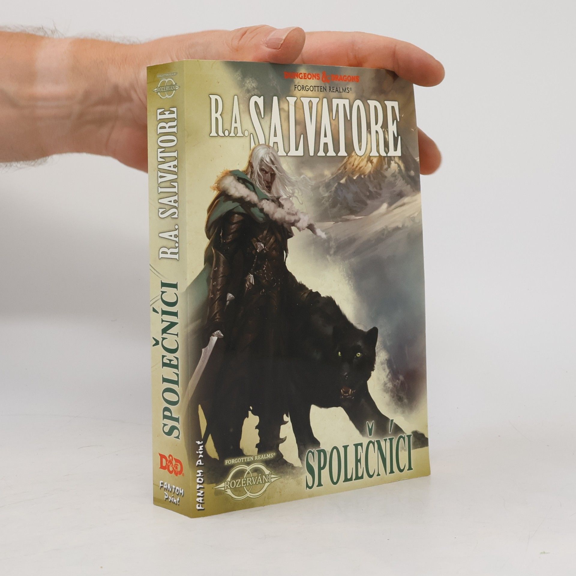 R. A. Salvatore Rozervání. Společníci