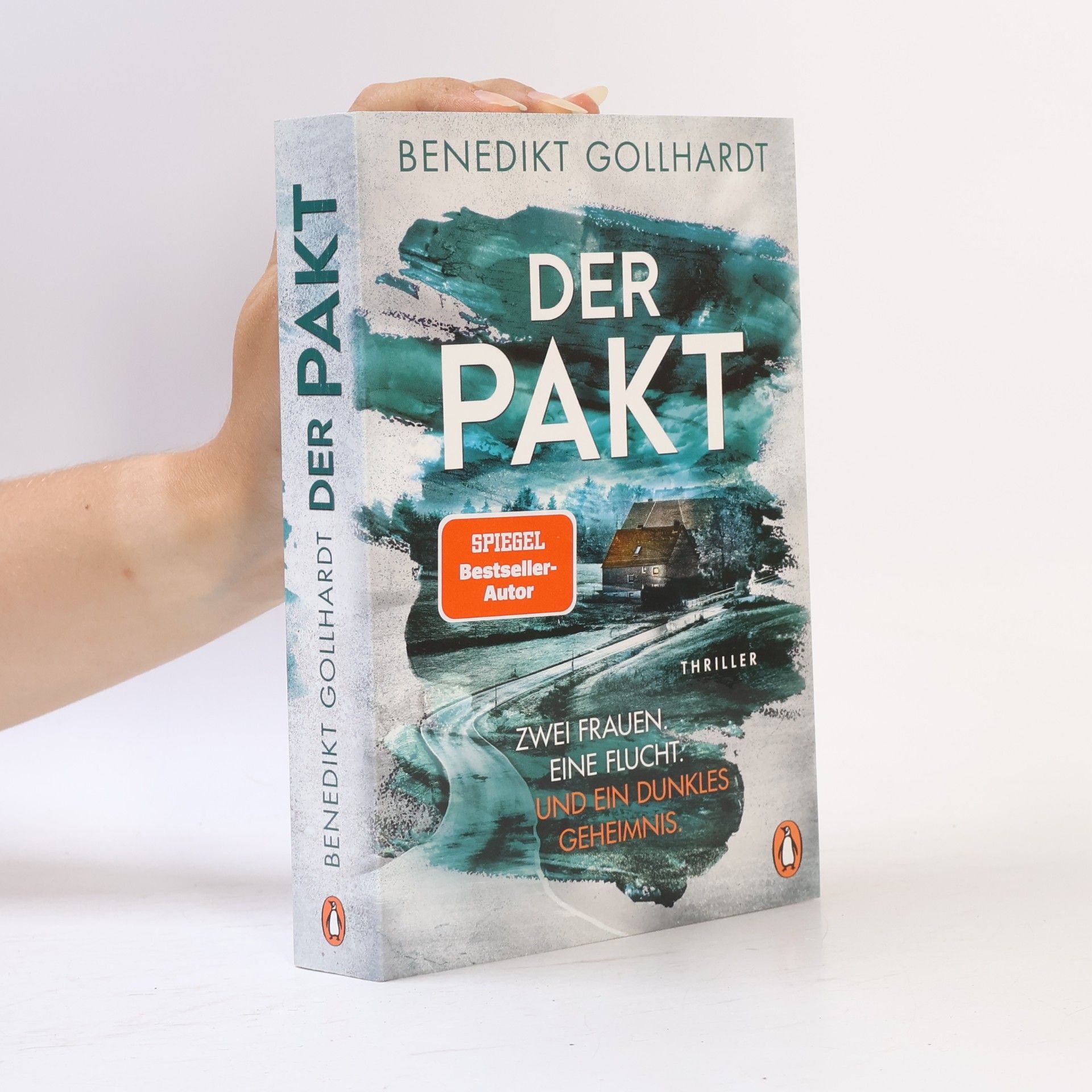 Benedikt Gollhardt Der Pakt – Zwei Frauen. Eine Flucht. Und ein dunkles Geheimnis.