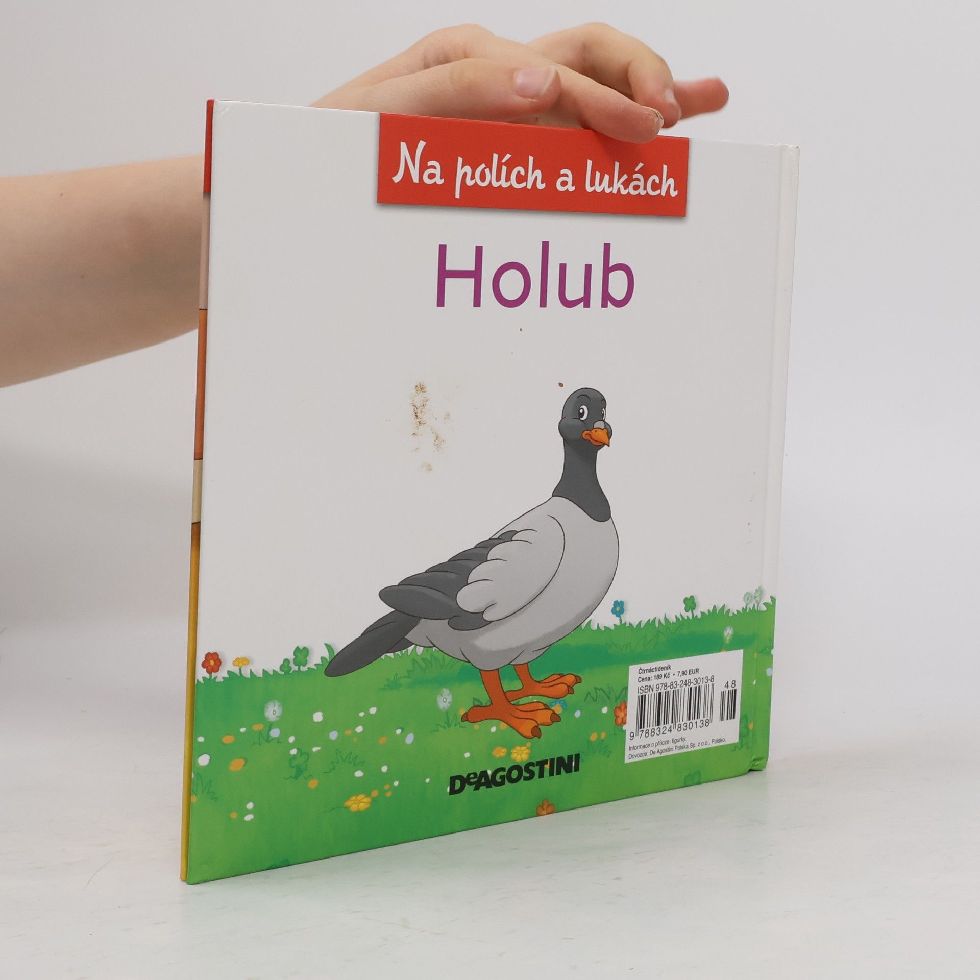 Amelia Bruni Na polích a lukách 47. Holub