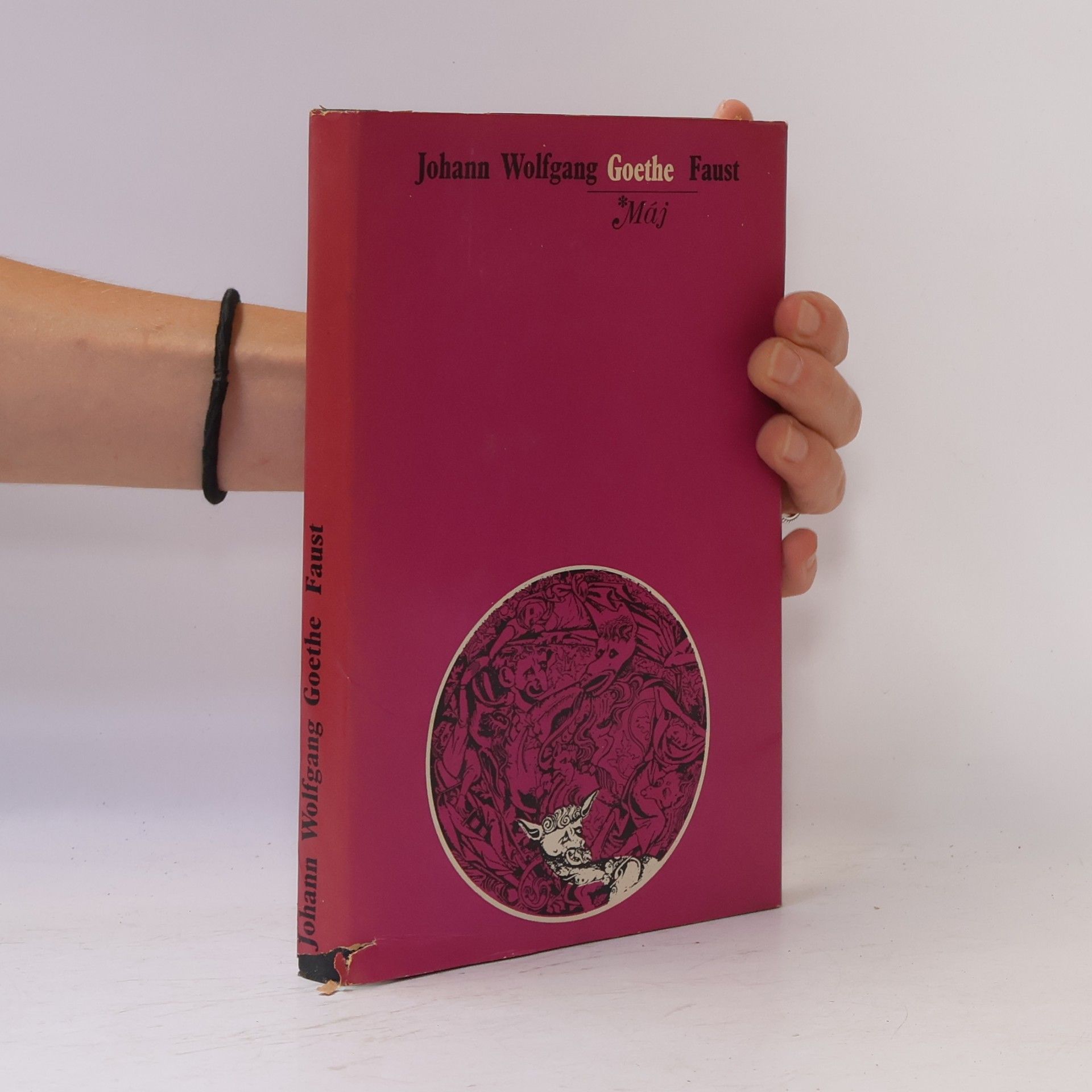 Johann Wolfgang von Goethe Faust