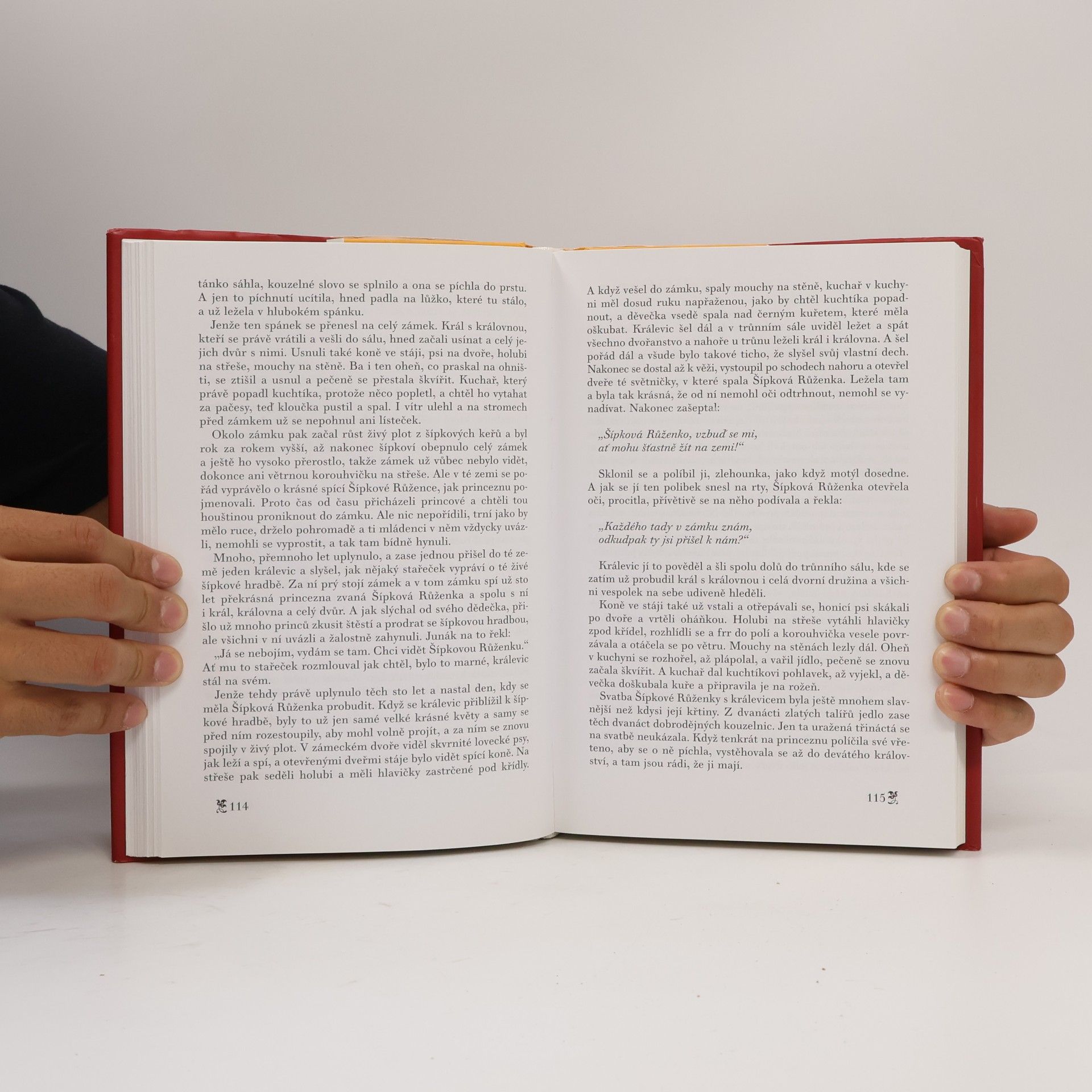 Jacob Grimm Pohádky bratří Grimmů