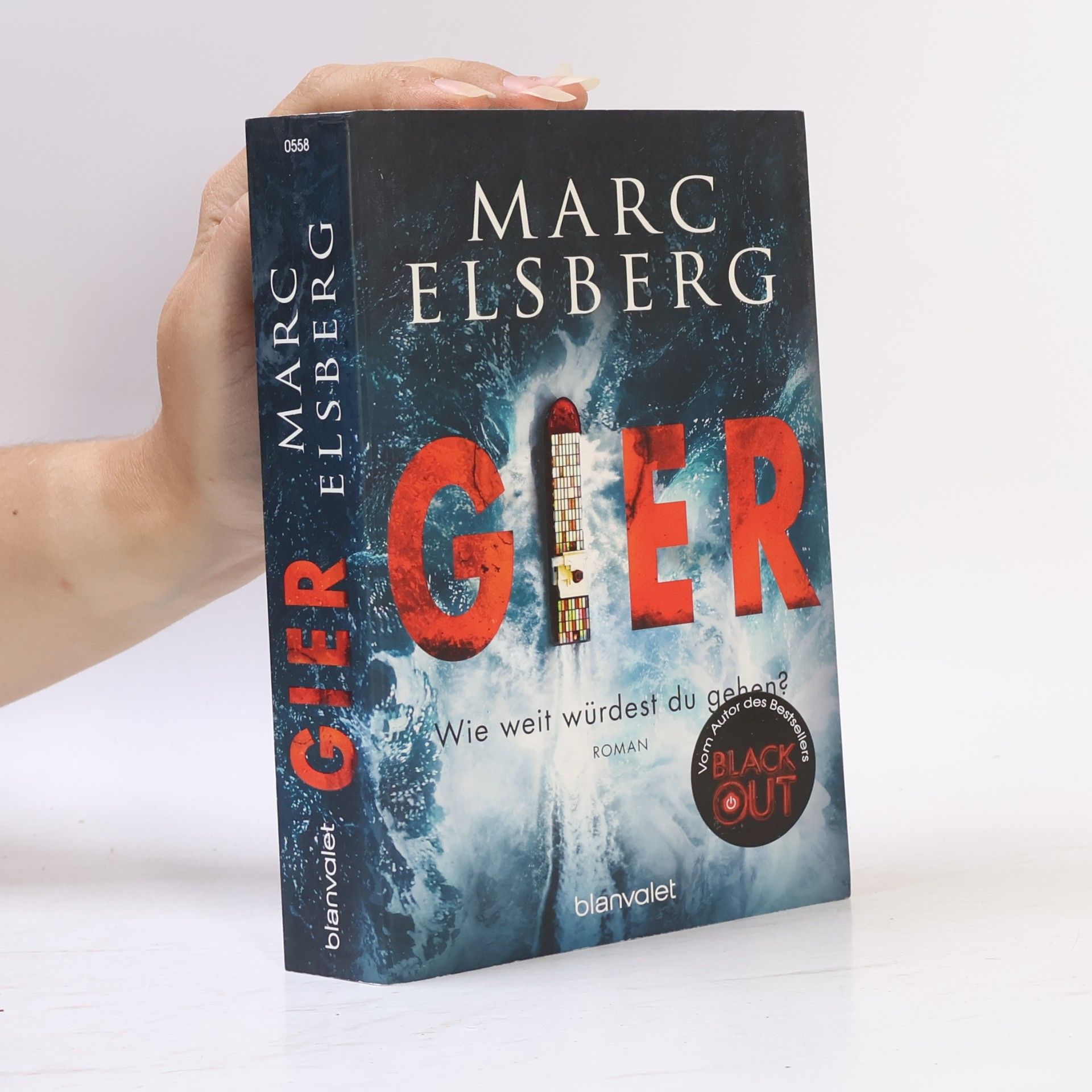 Marc Elsberg Gier
