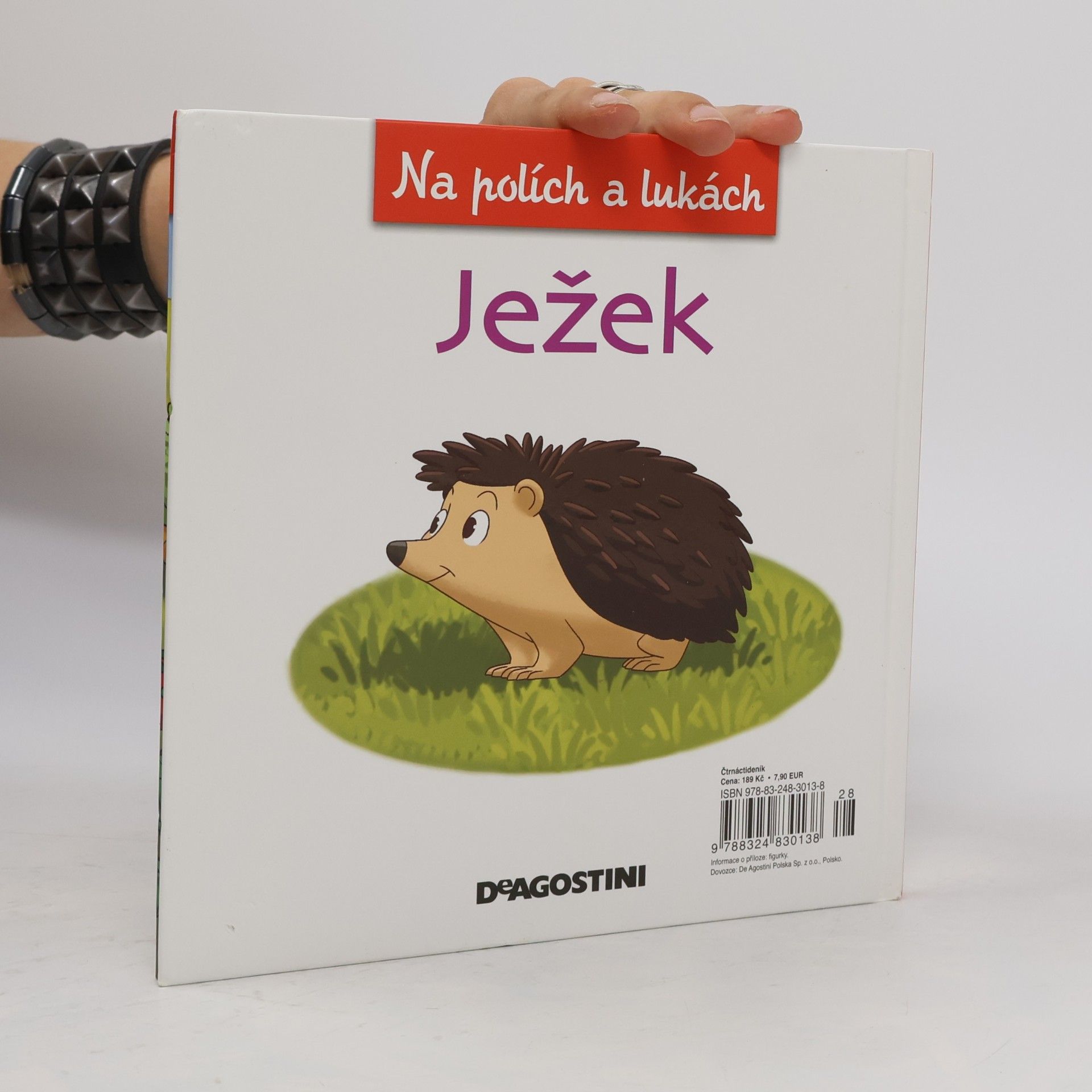Autorenkollektiv Na polích a lukách 11. Ježek