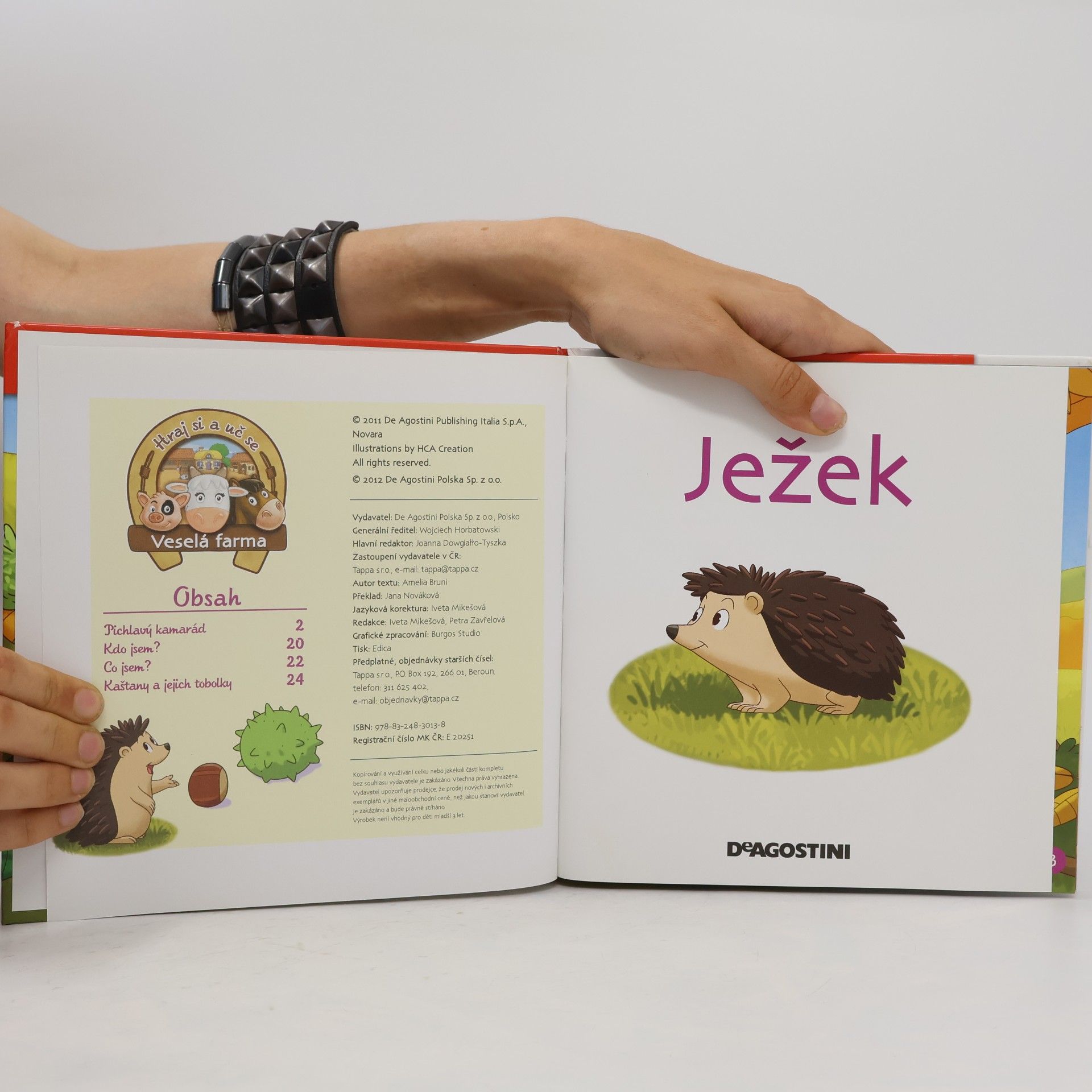 Autorenkollektiv Na polích a lukách 11. Ježek