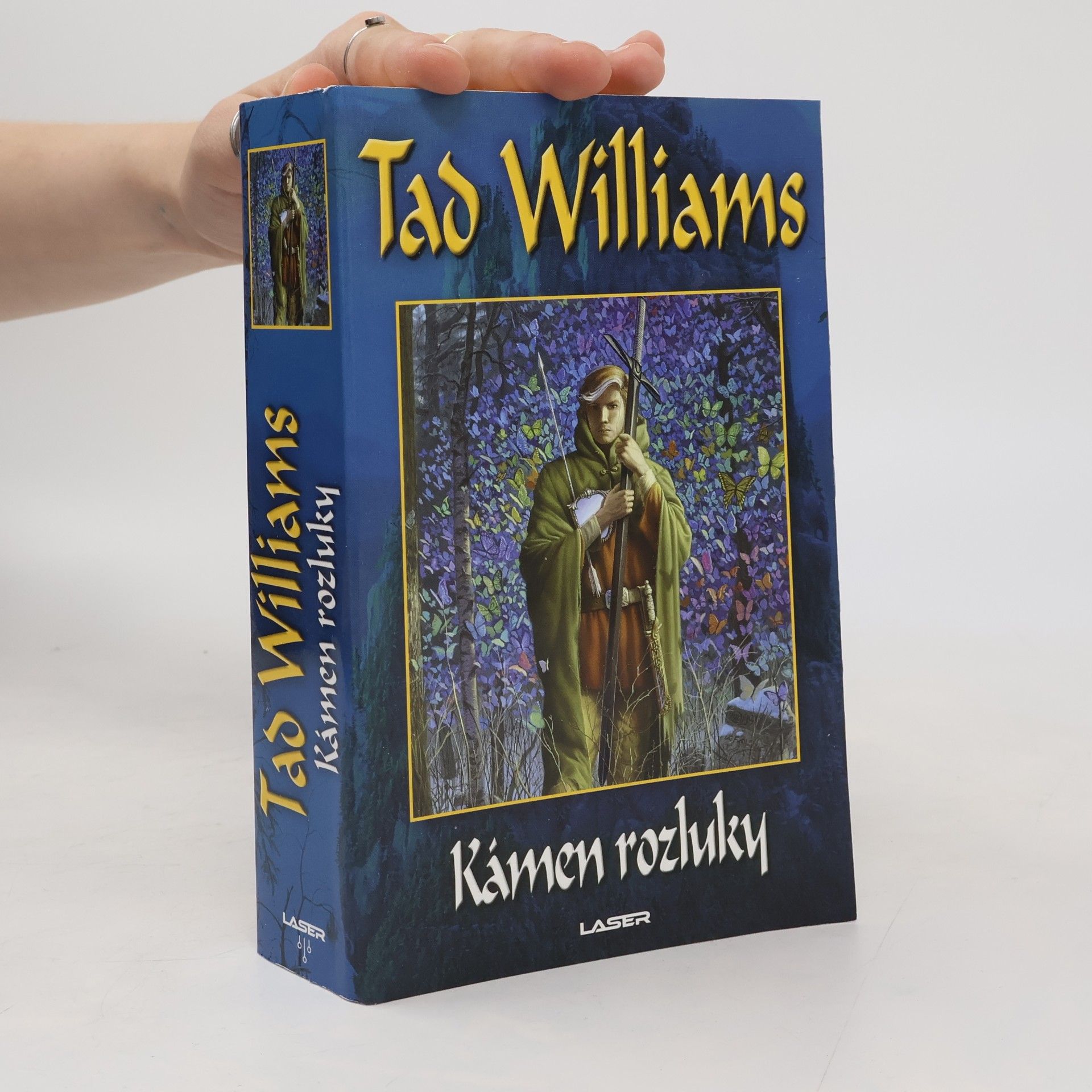 Tad Williams Kámen rozluky