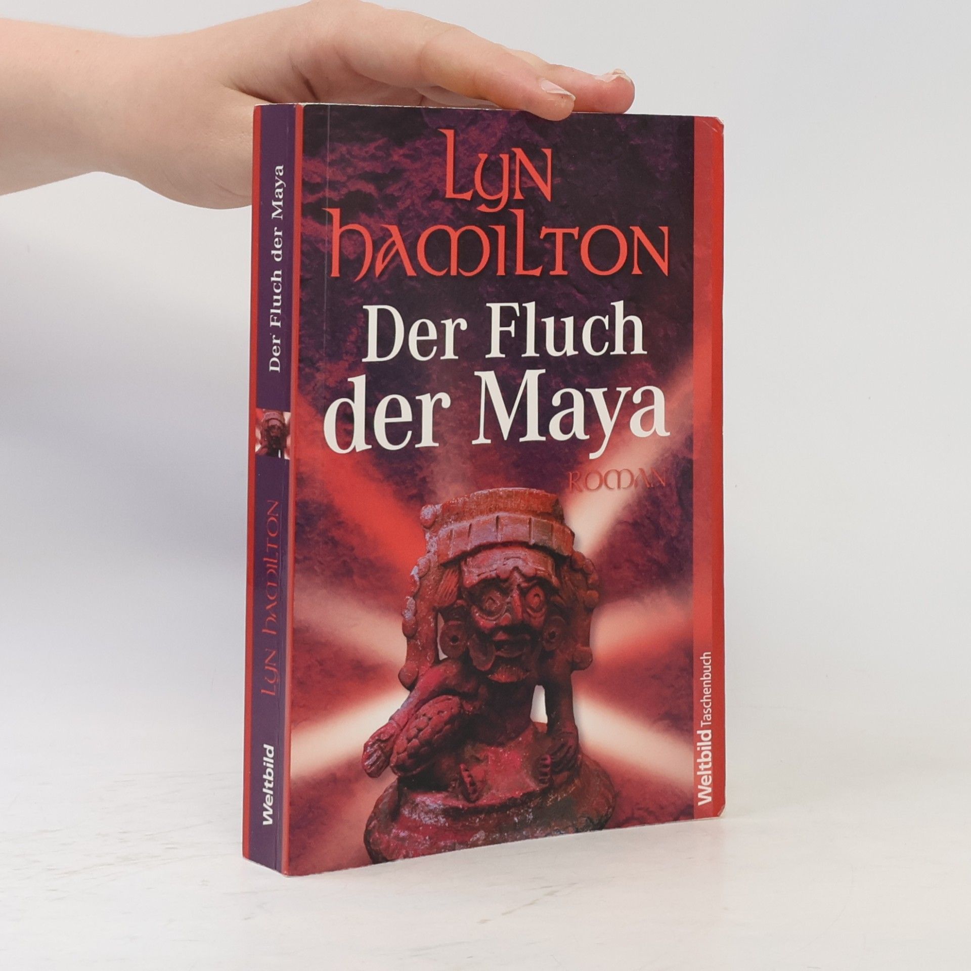 Lyn Hamilton Der Fluch der Maya