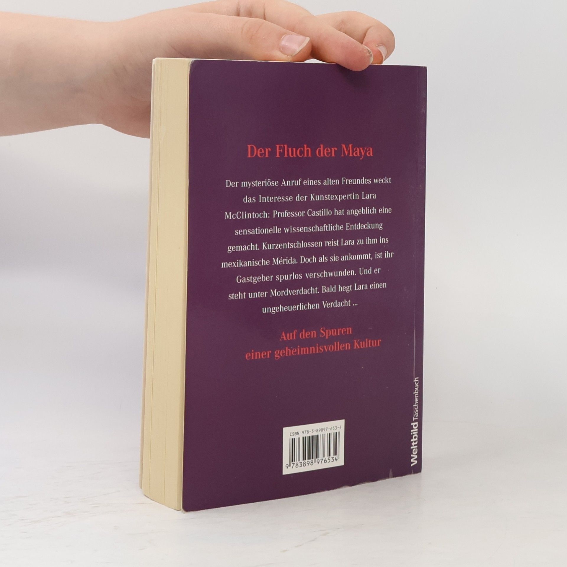 Lyn Hamilton Der Fluch der Maya
