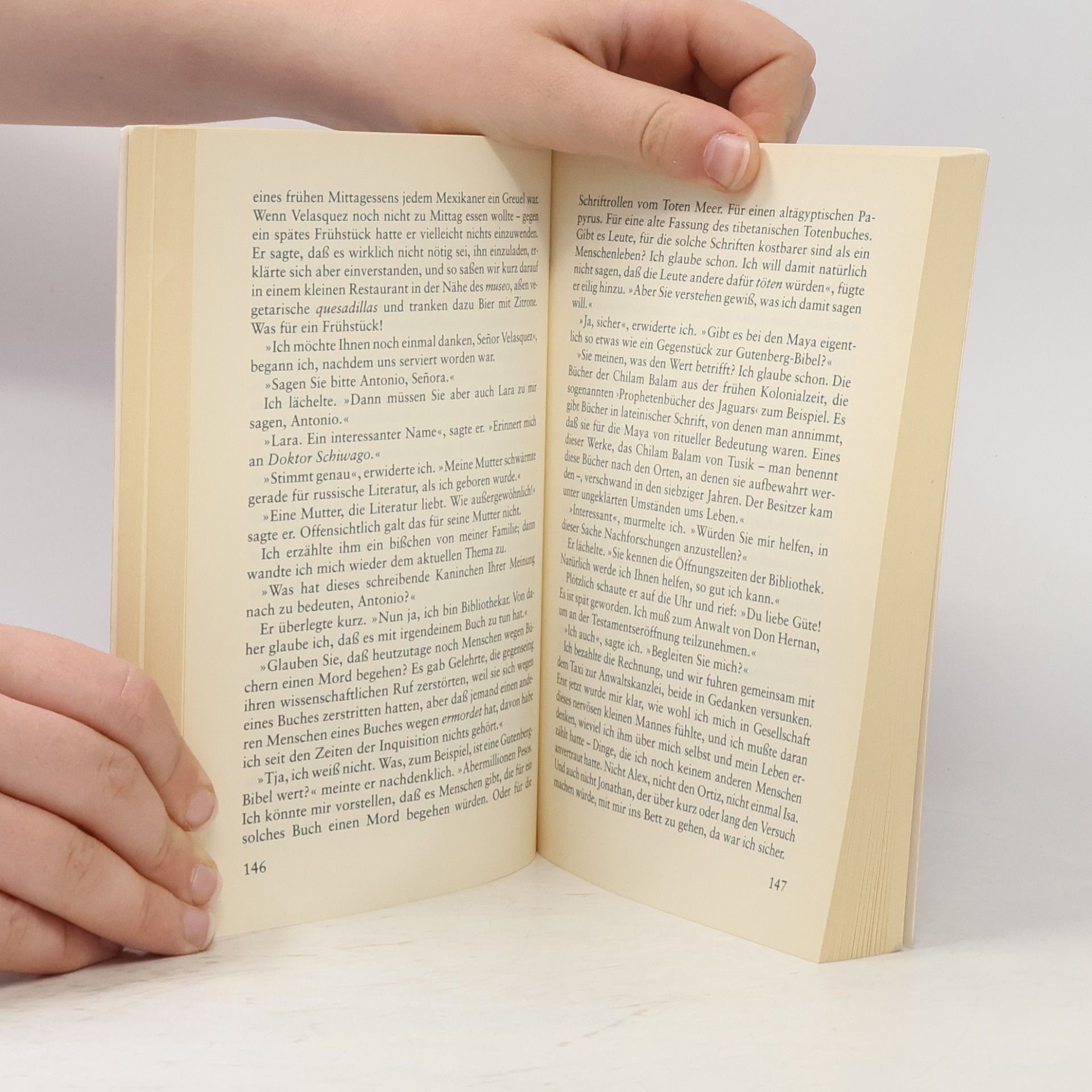 Lyn Hamilton Der Fluch der Maya