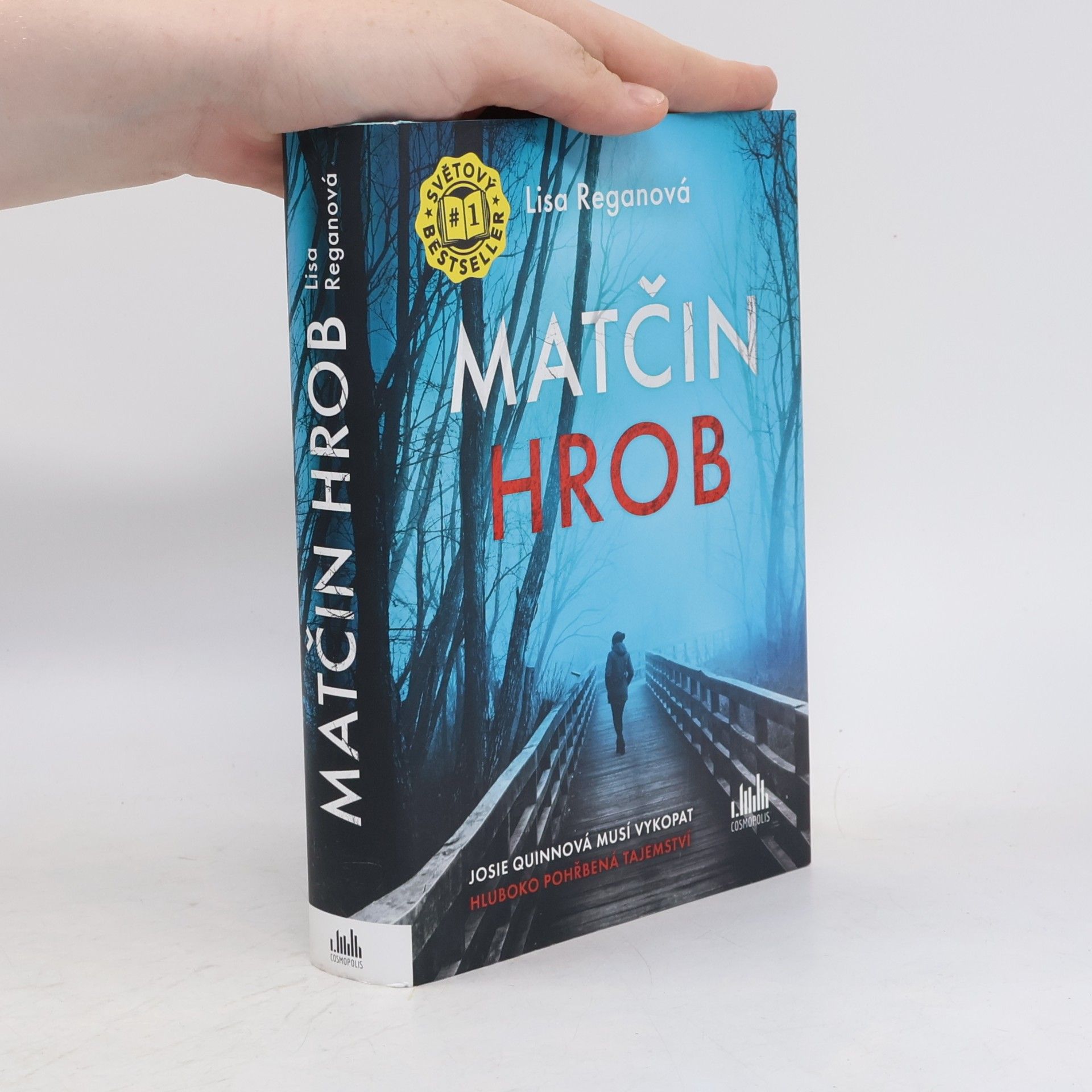 Lisa Regan Matčin hrob