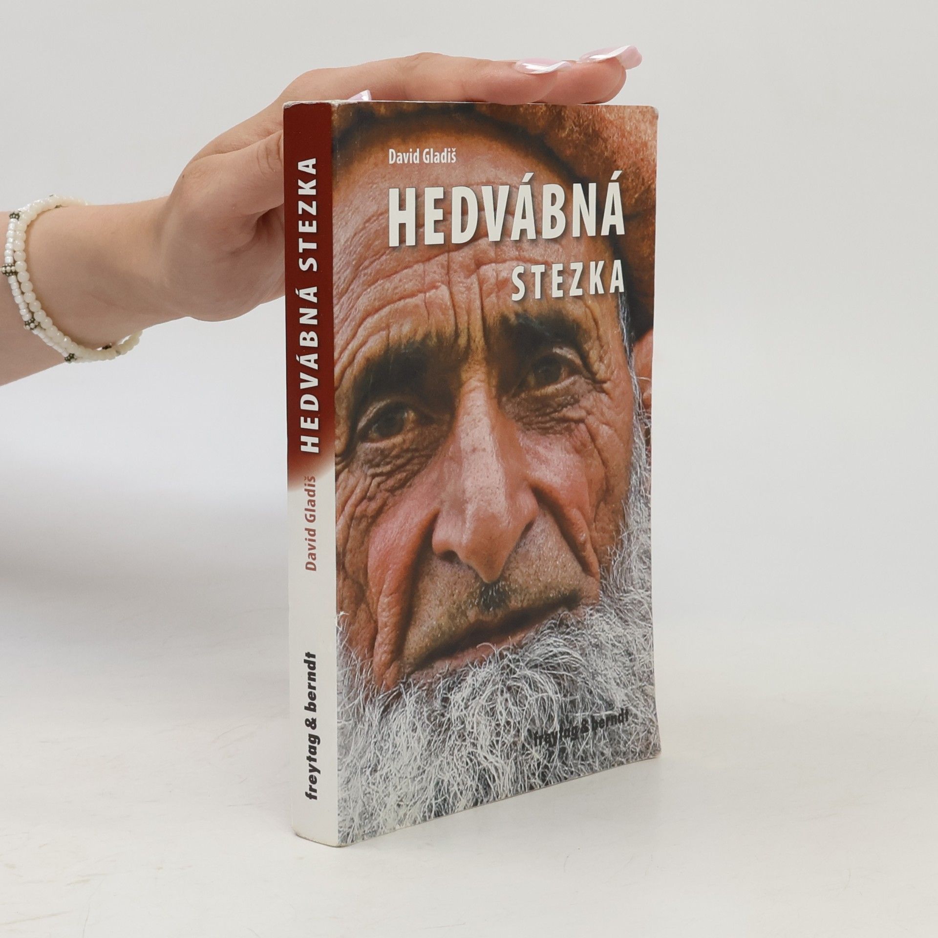 David Gladiš Hedvábná stezka