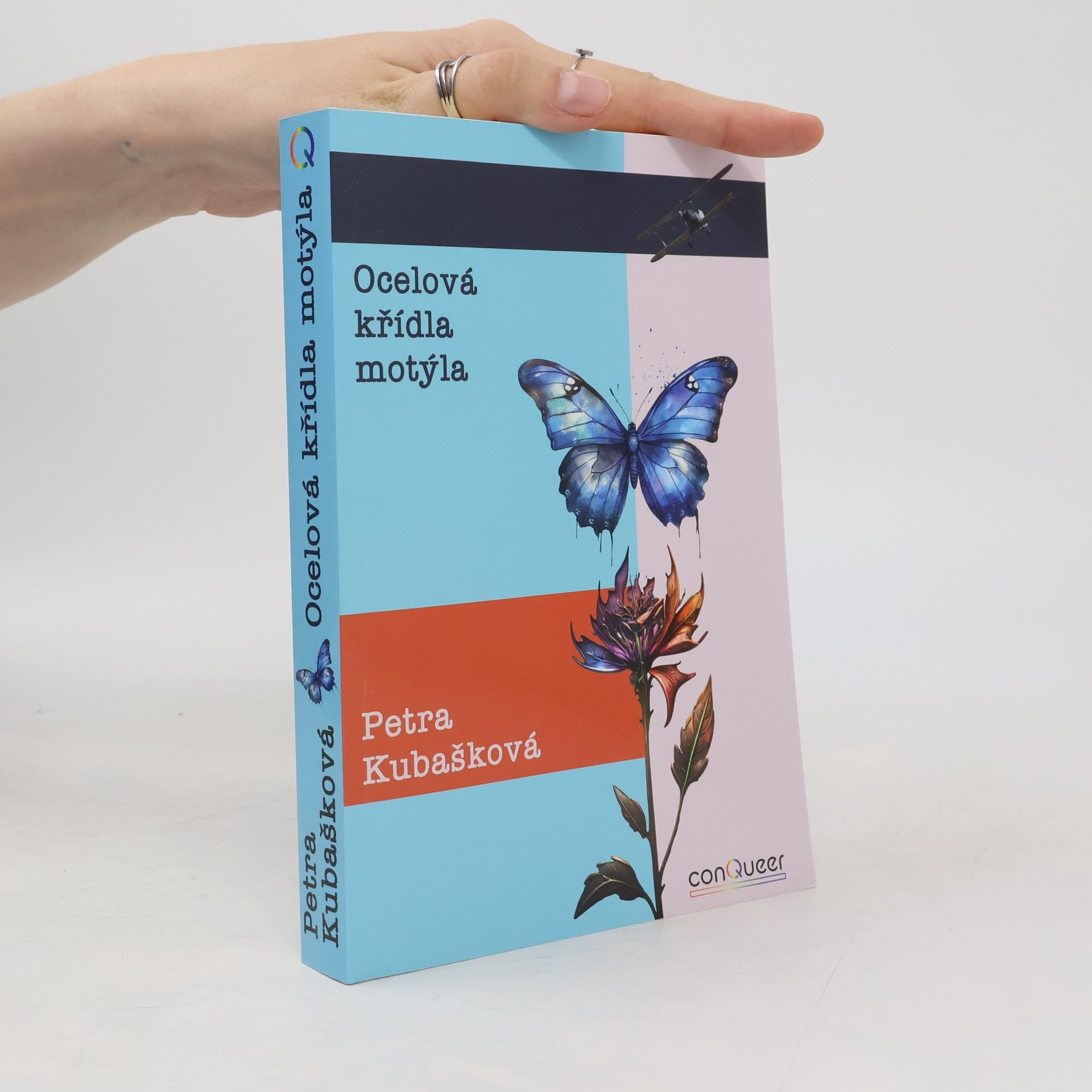 Petra Kubašková Ocelová křídla motýla
