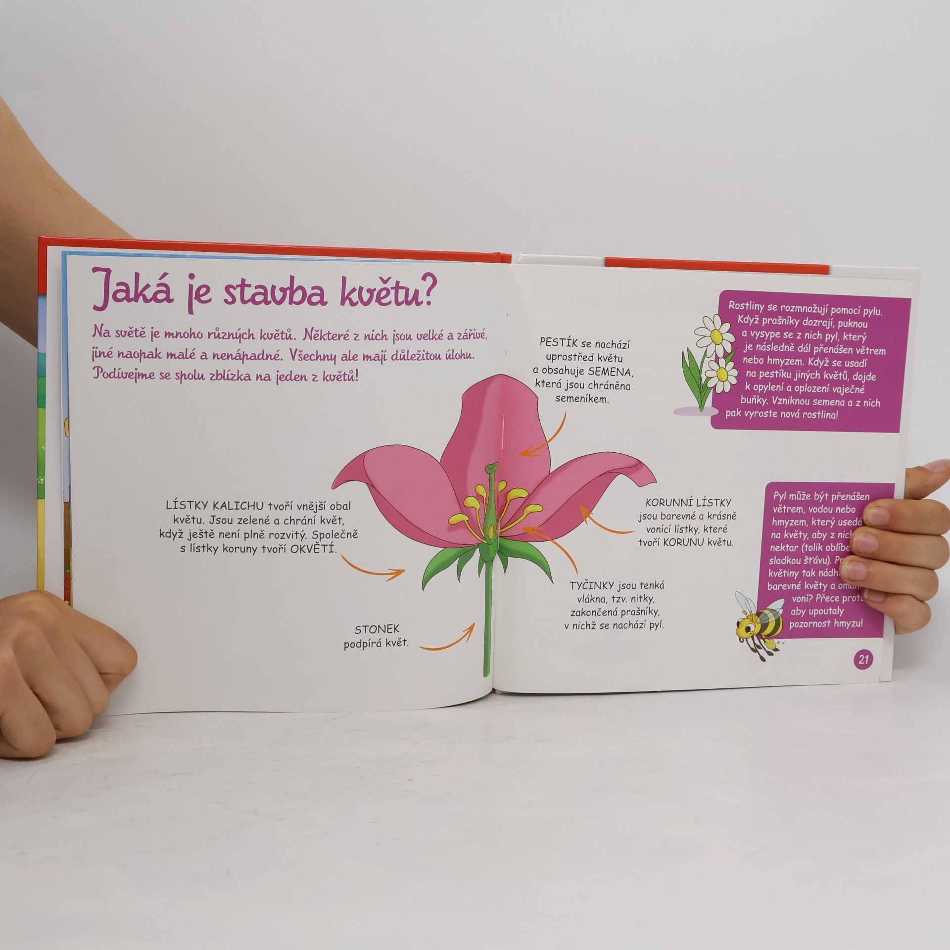 Collectif d'auteurs Na polích a lukách 36. Květiny