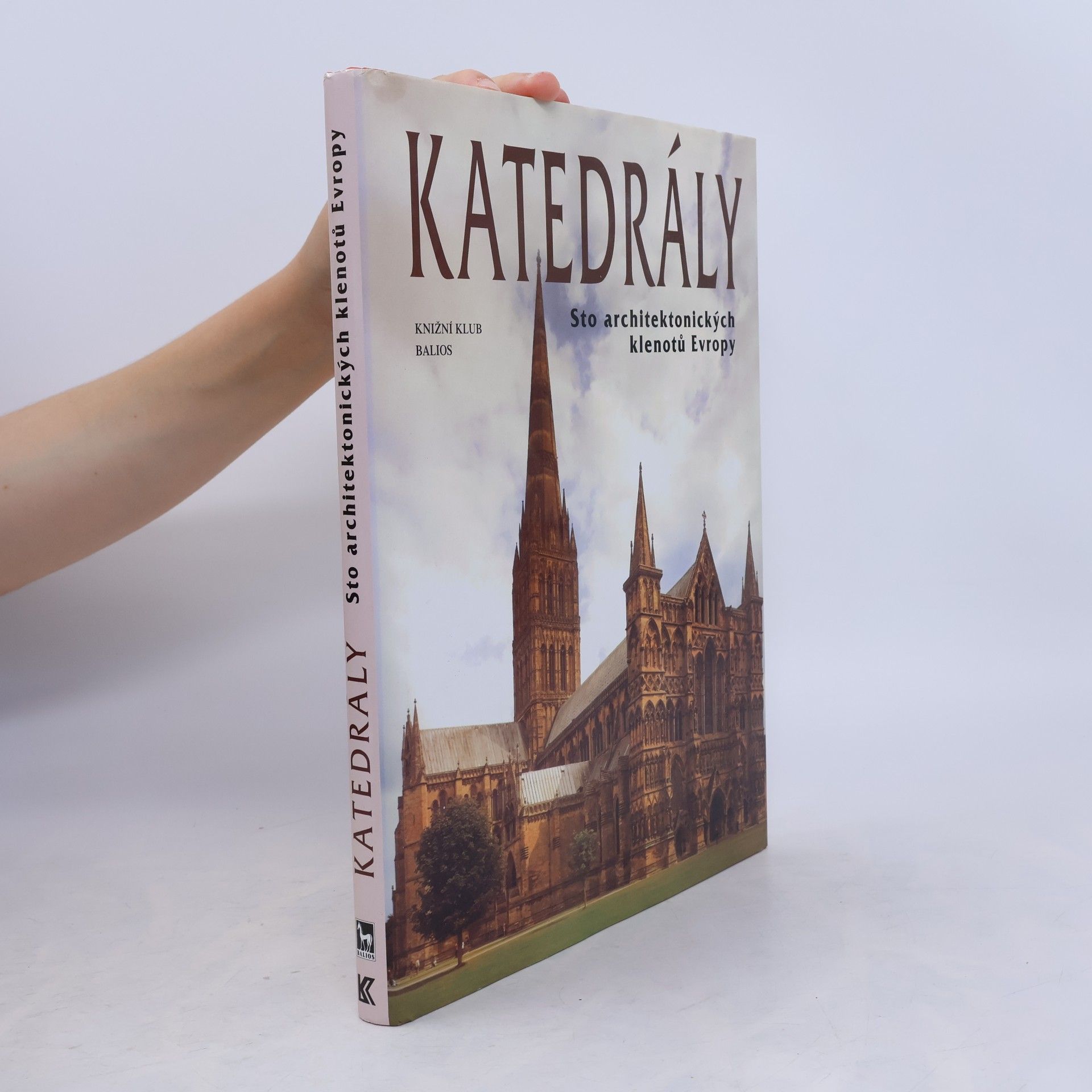 Kolektív autorov Katedrály : sto architektonických klenotů Evropy