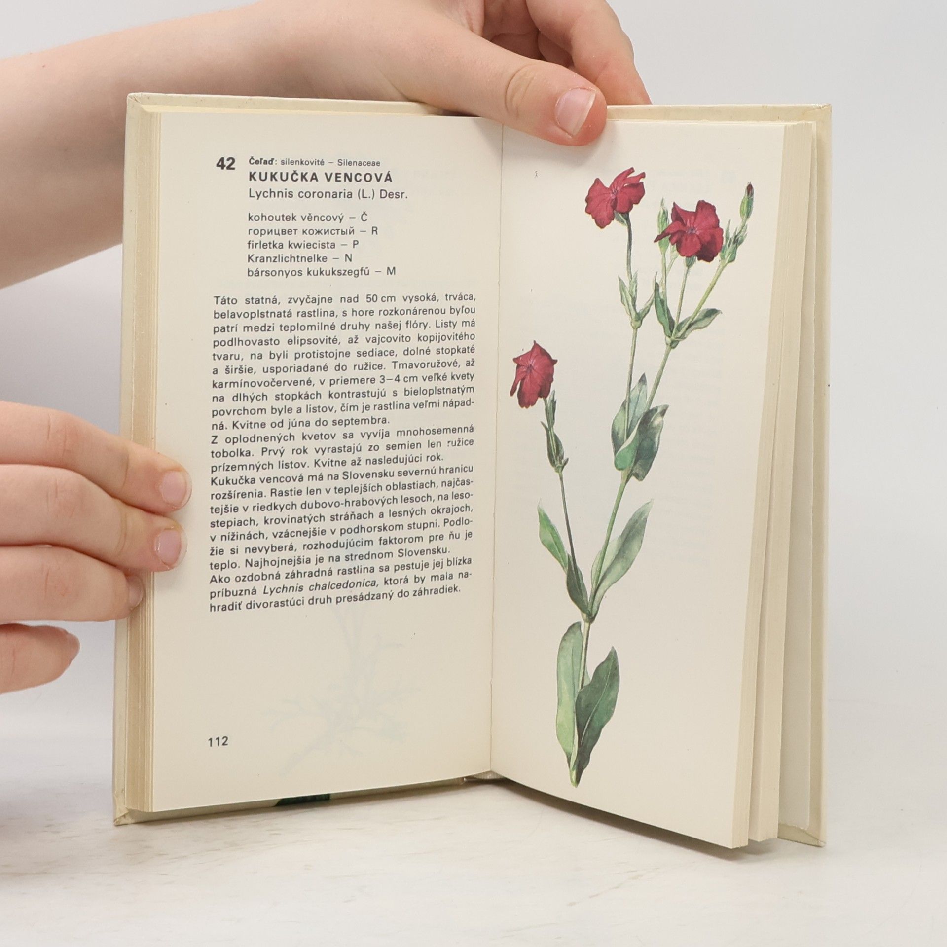 Dezider Magic Atlas chránených rastlín. Obrázková kvetena Slovenska