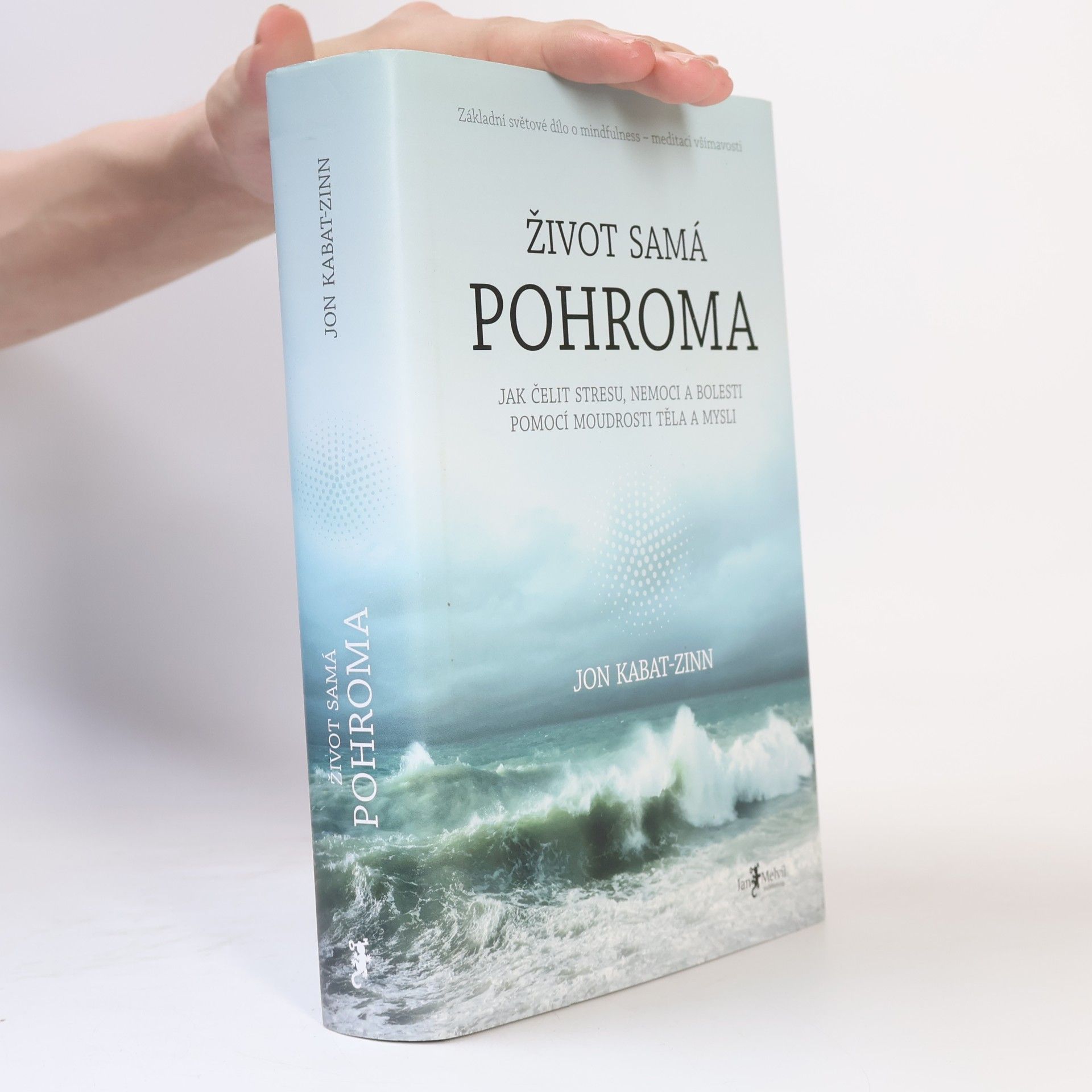 Jon Kabat-Zinn Život samá pohroma
