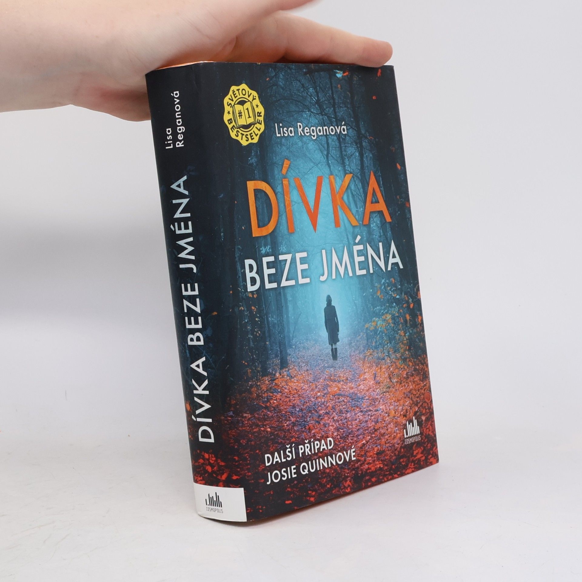Lisa Regan Dívka beze jména: Další případ Josie Quinnové