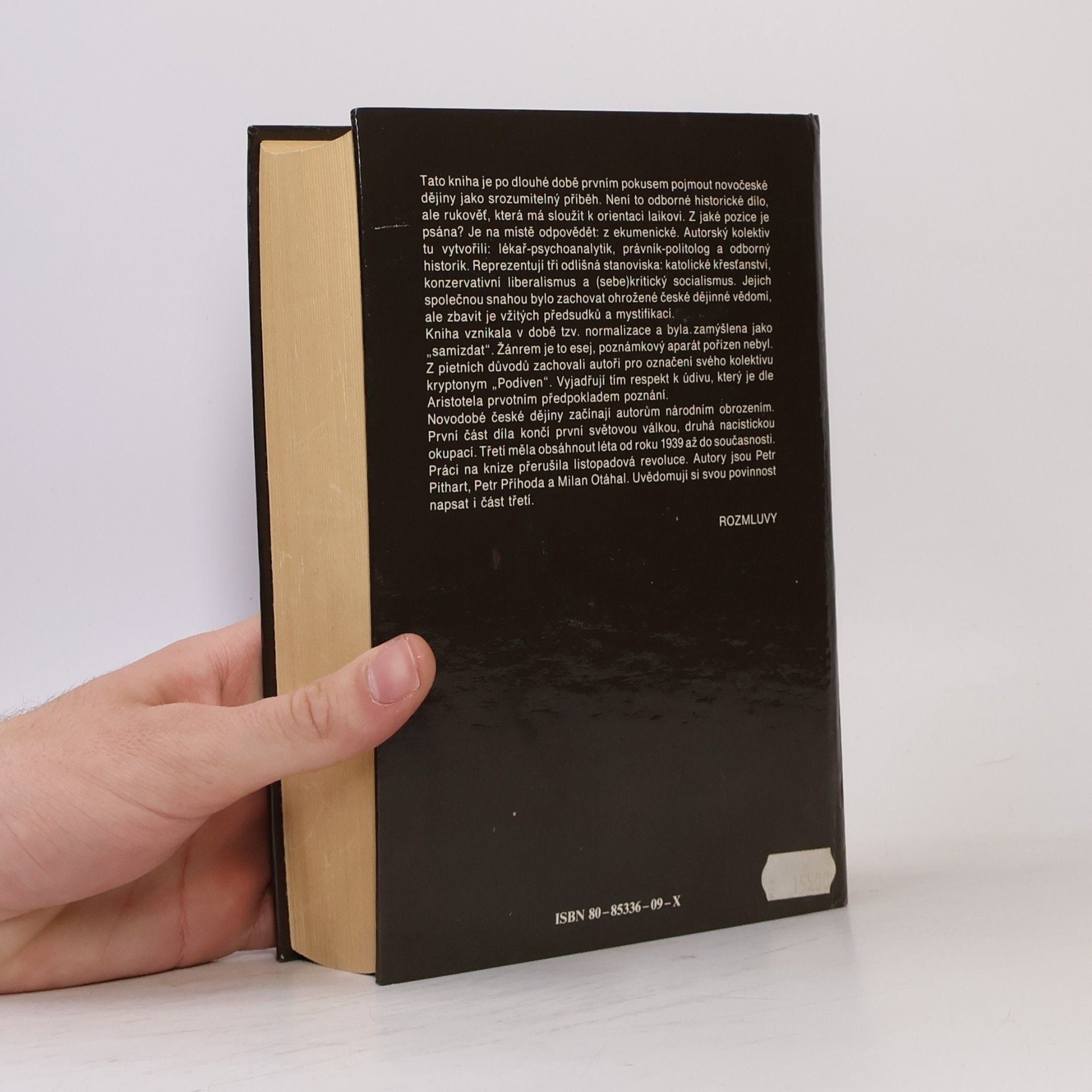 Autorenkollektiv Češi v dějinách nové doby : pokus o zrcadlo