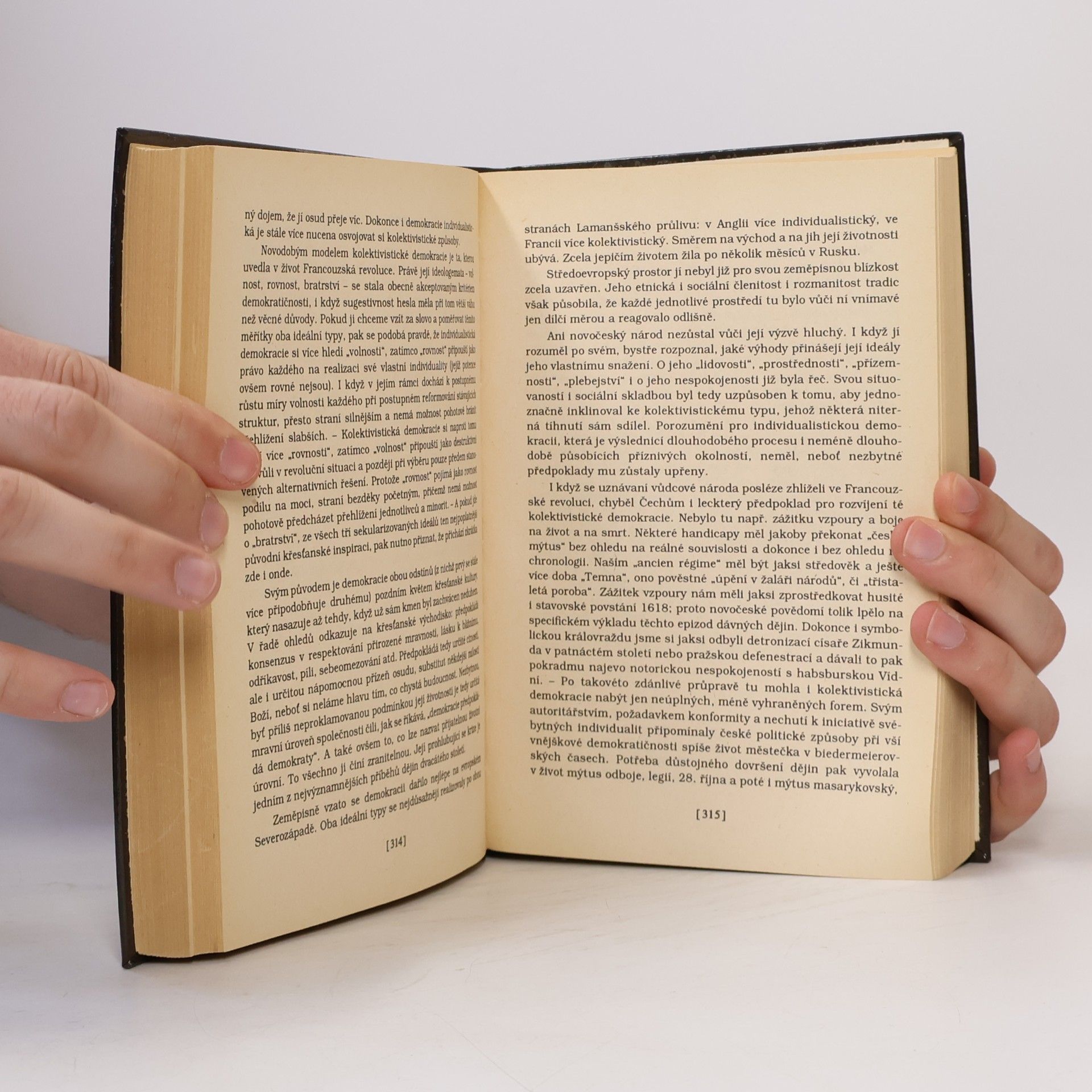 Autorenkollektiv Češi v dějinách nové doby : pokus o zrcadlo