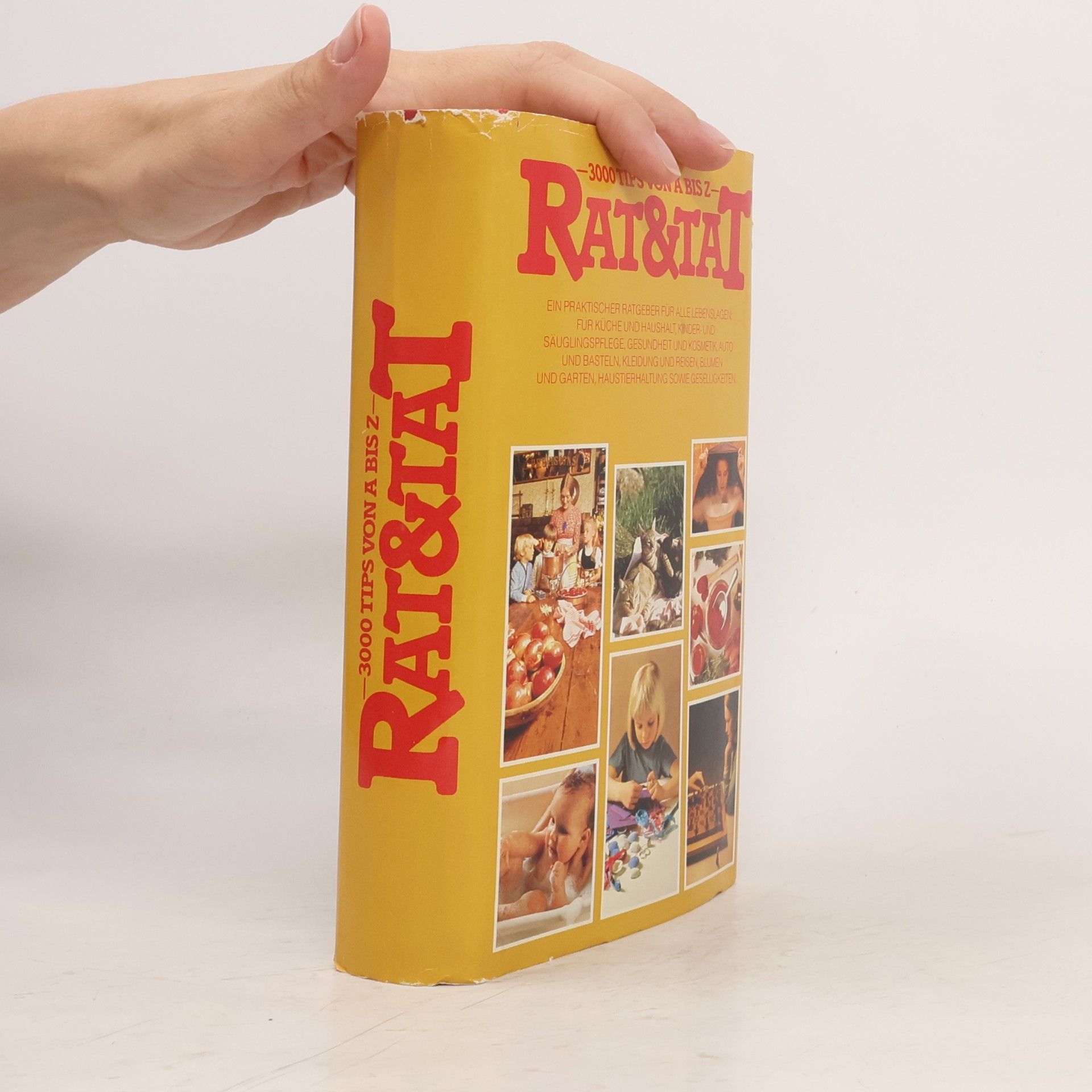 Autorenkollektiv Rat & Tat. 3000 Tips von A bis Z