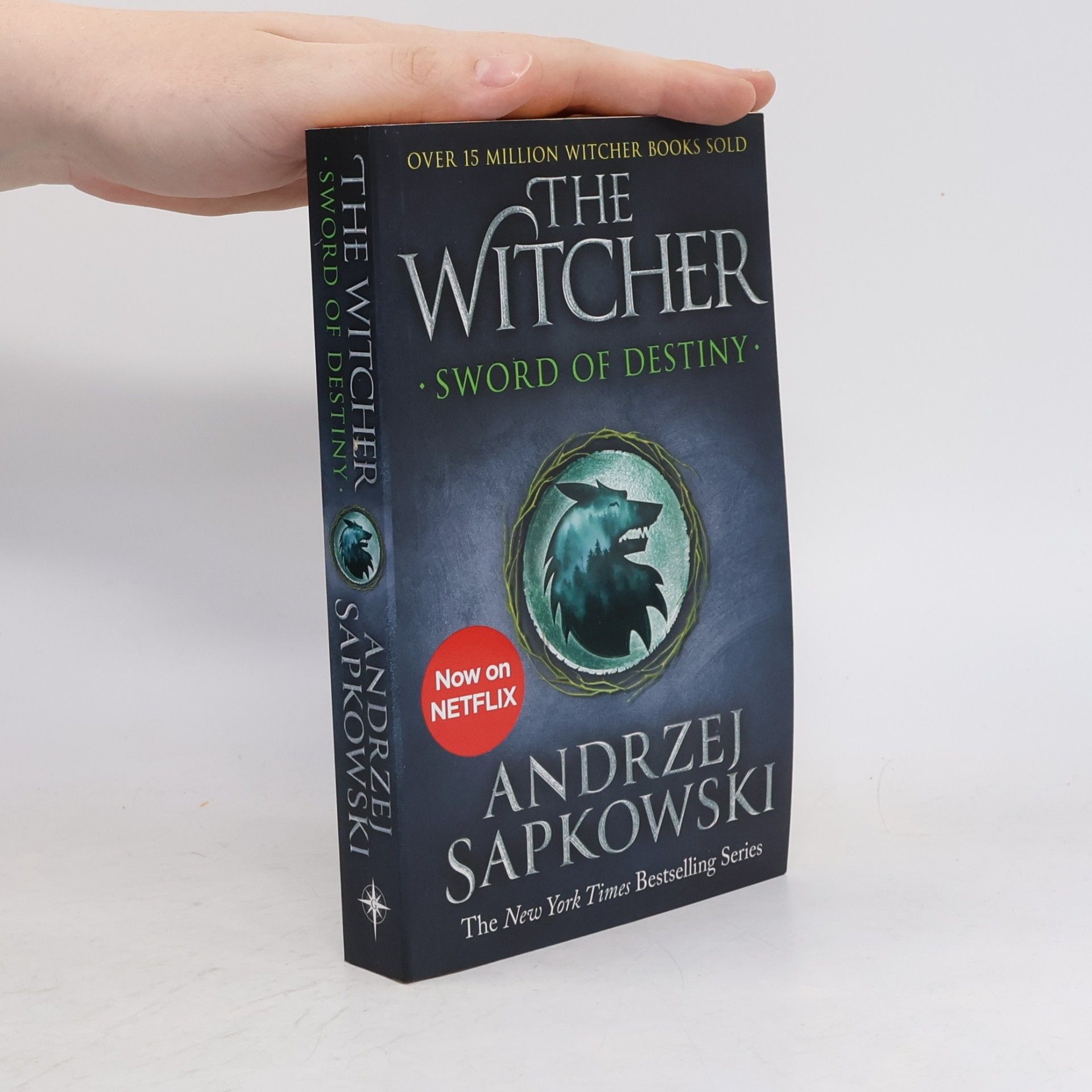 Andrzej Sapkowski The Witcher: Sword of destiny