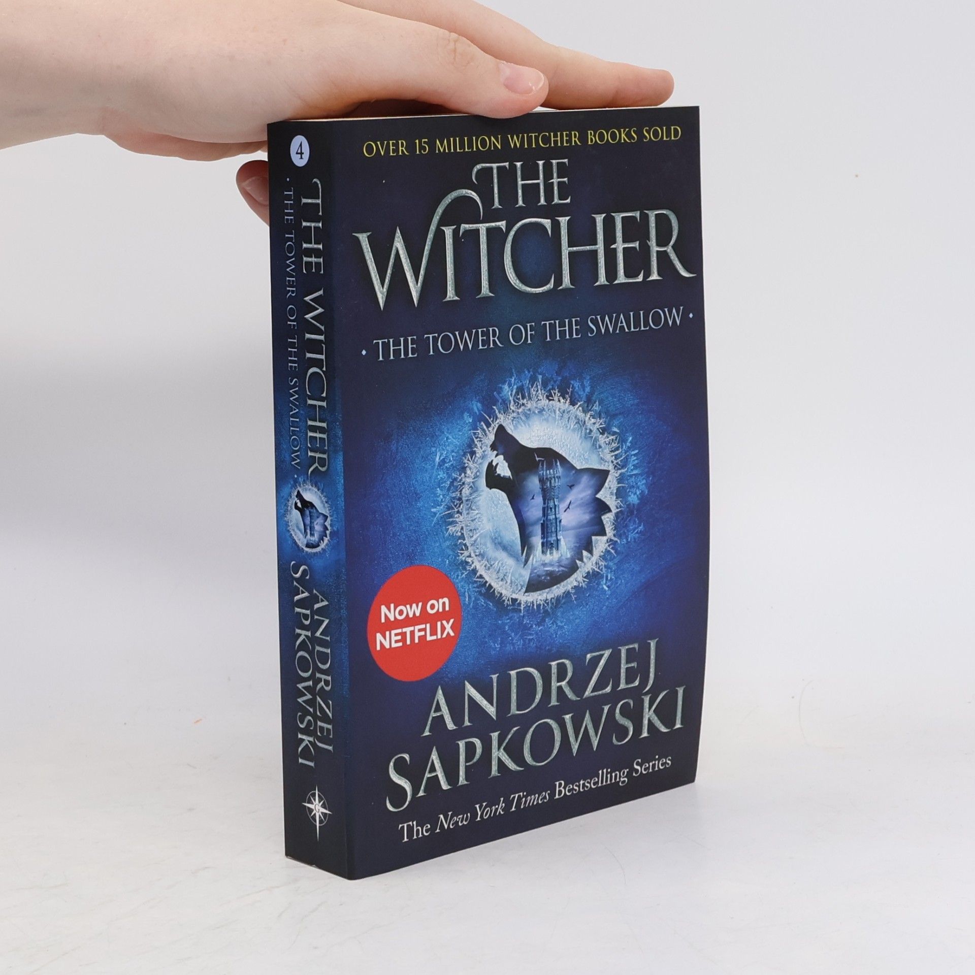 Andrzej Sapkowski The Tower of the Swallow
