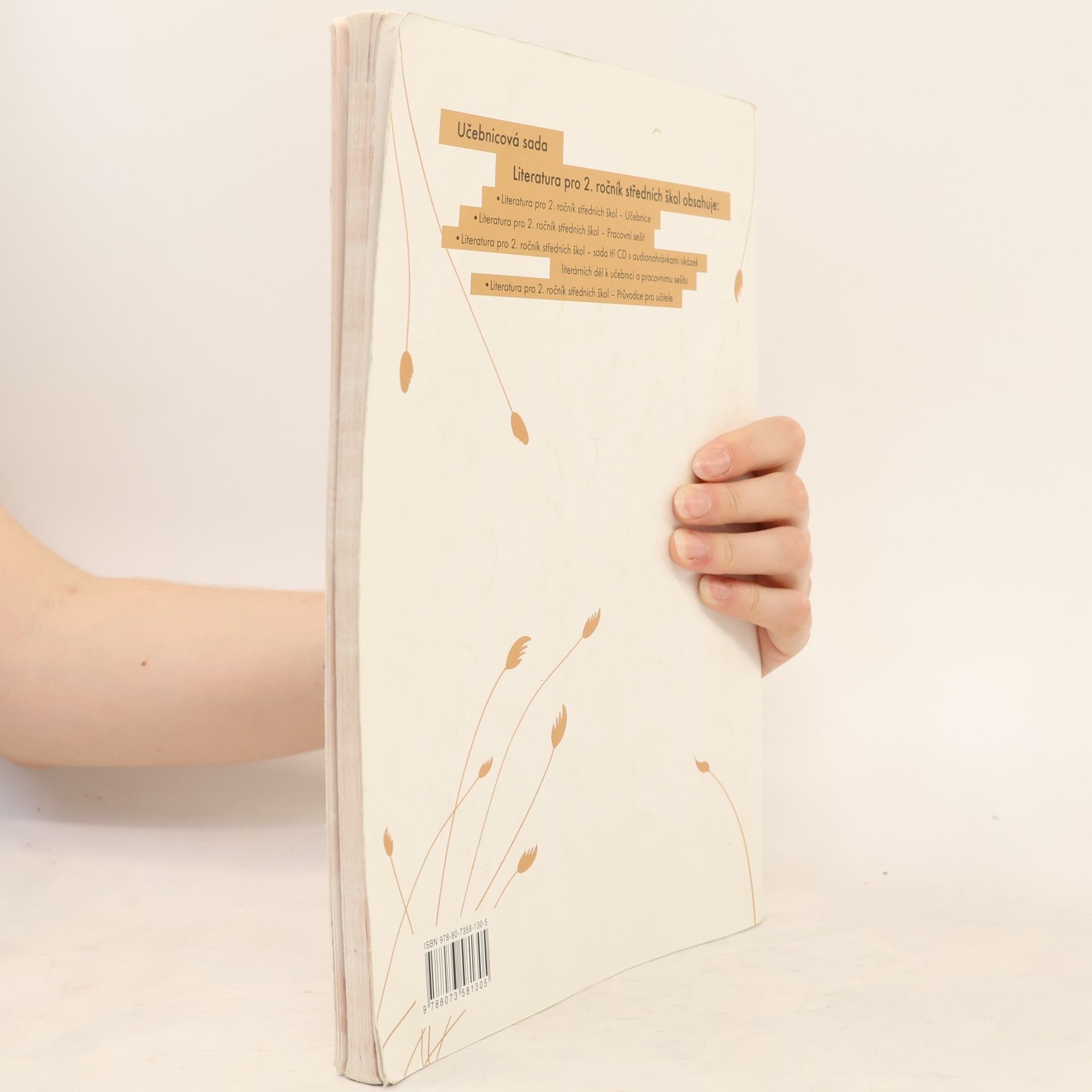 Autorenkollektiv Literatura pro 2. ročník středních škol. Pracovní sešit