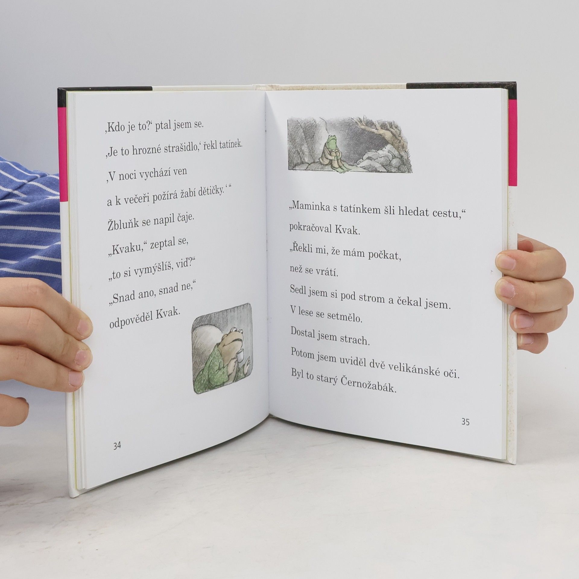 Arnold Lobel Kvak a Žbluňk se bojí rádi