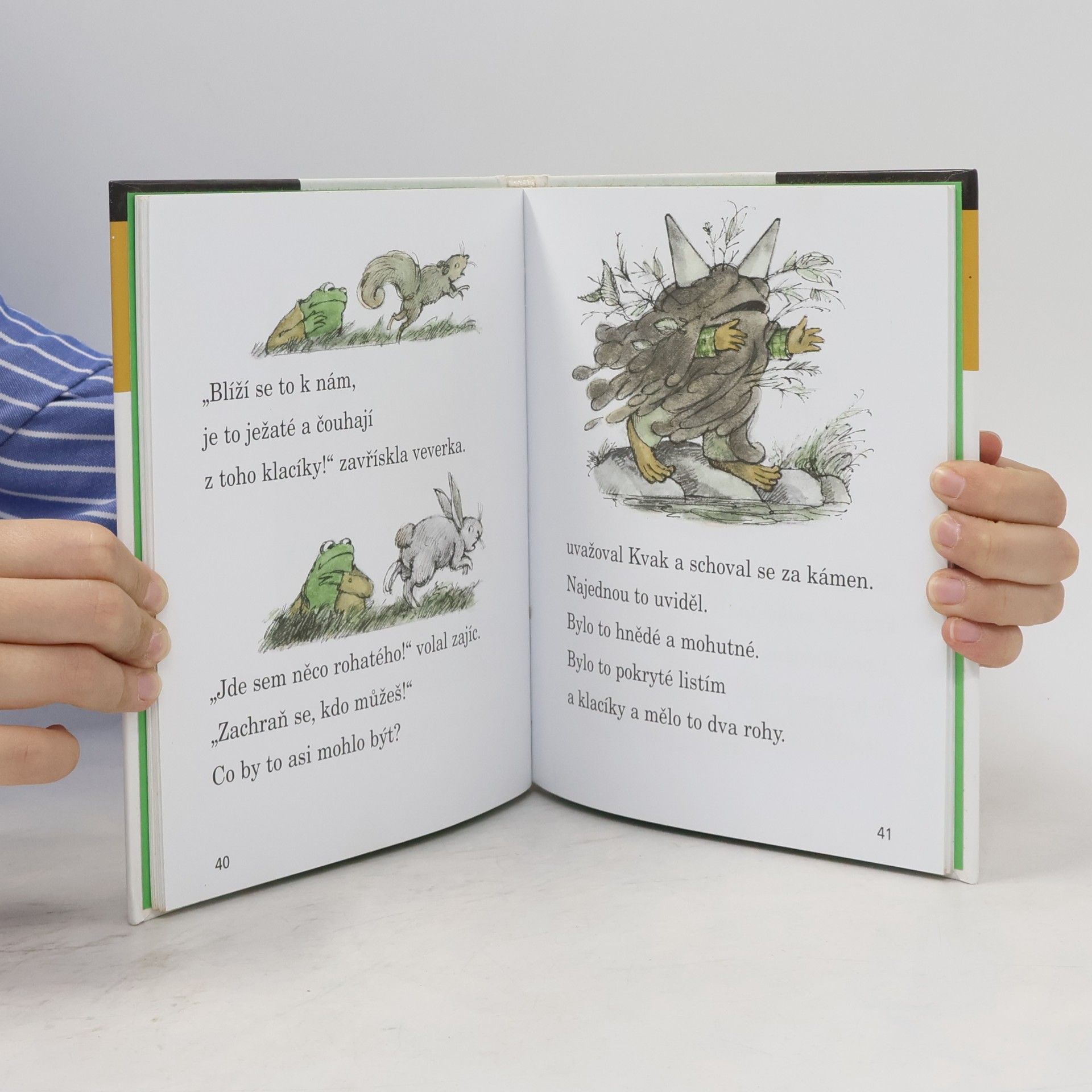 Arnold Lobel Kvak a Žbluňk od jara do Vánoc