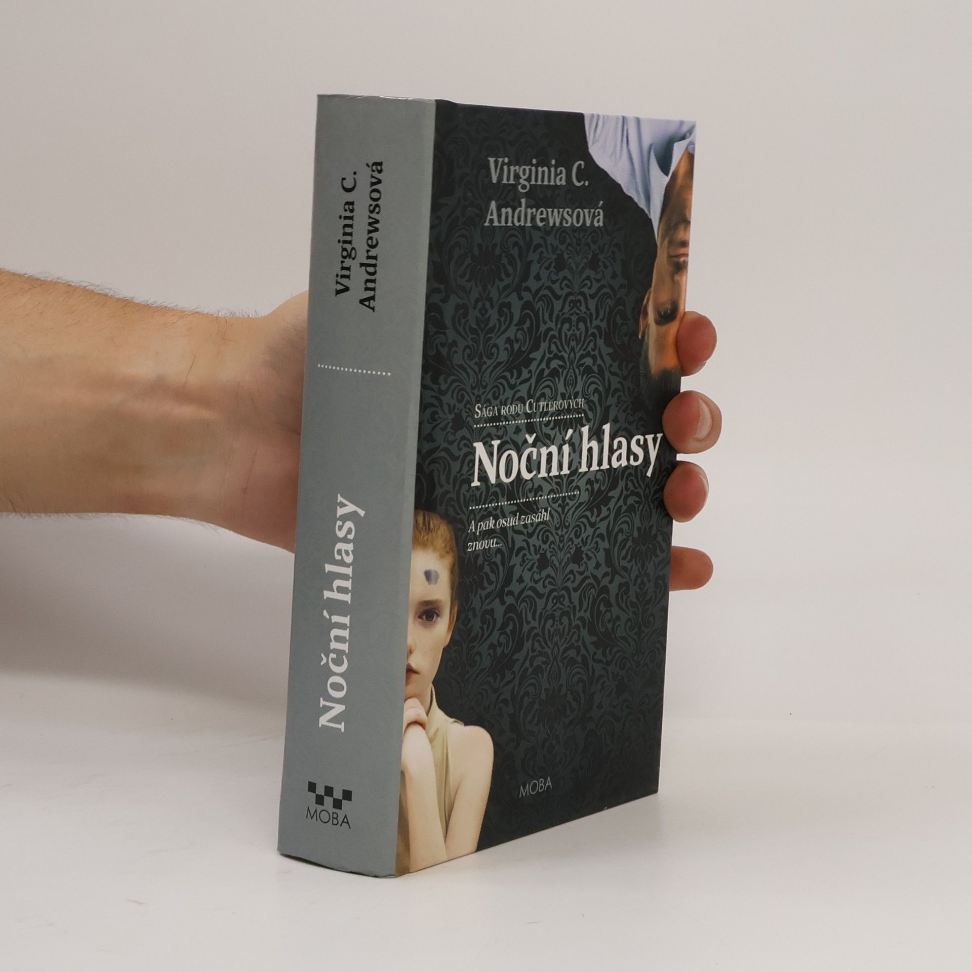 V. C. Andrews Noční hlasy