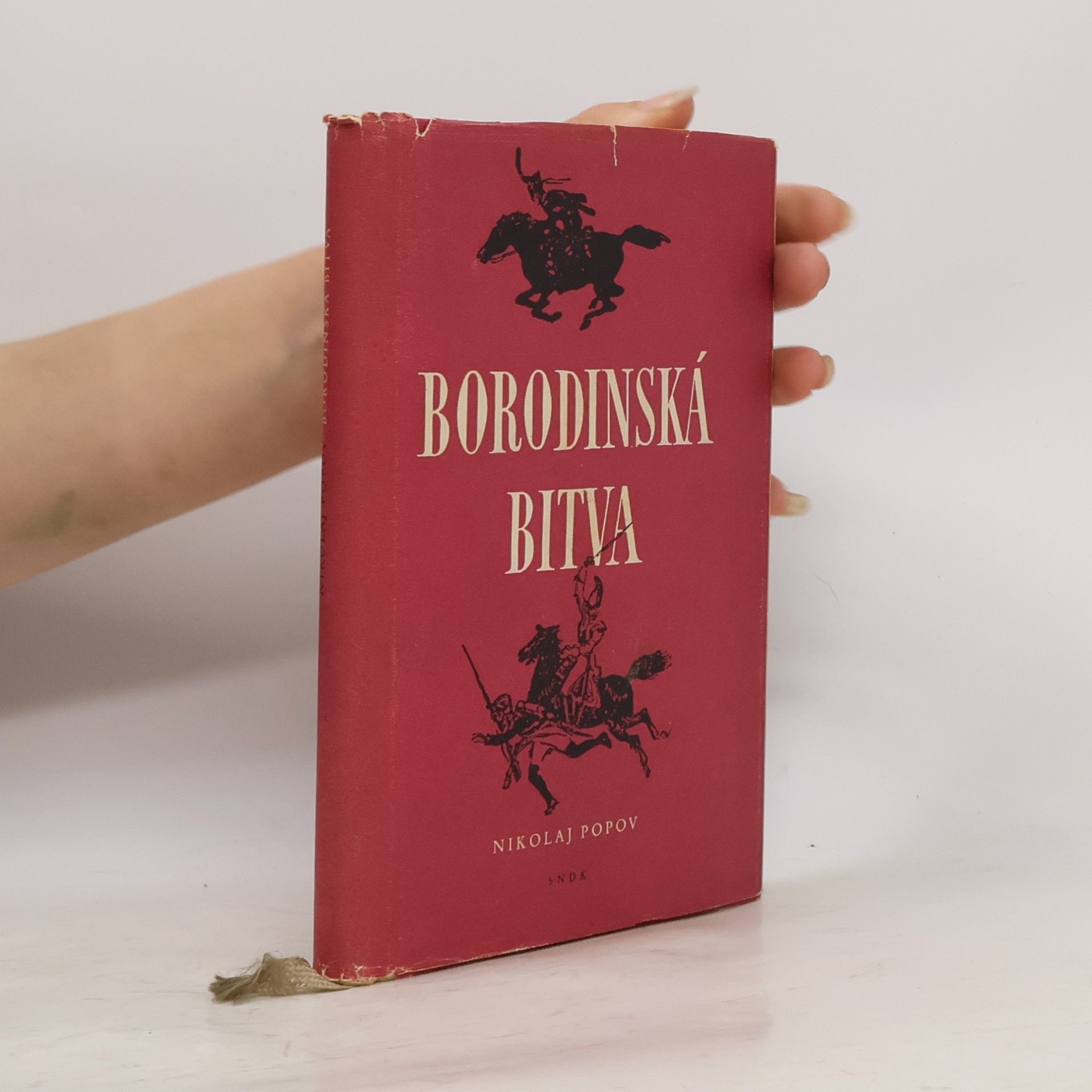 Nikolaj Vasil jevič Popov Borodinská bitva