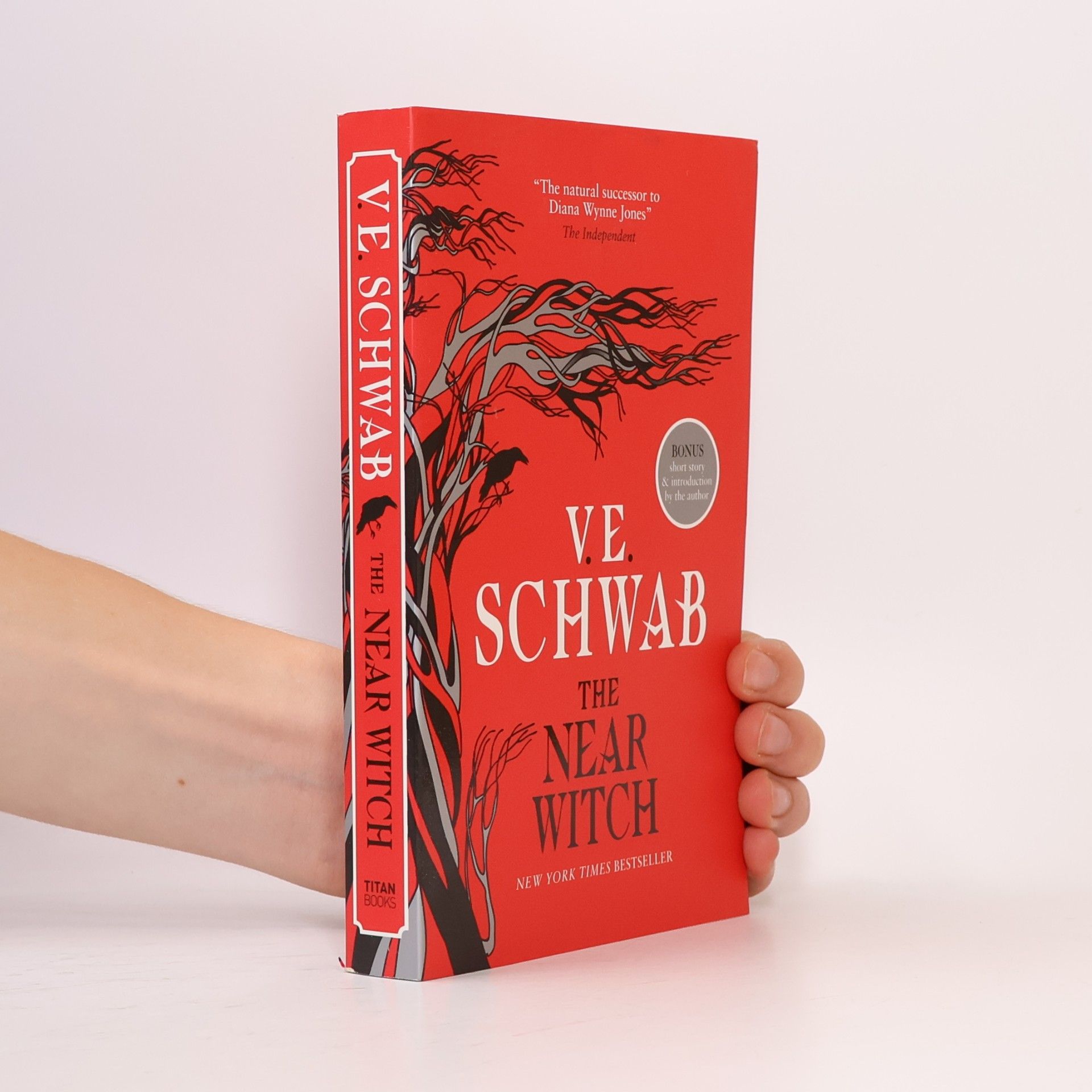 Victoria Schwab The Near Witch