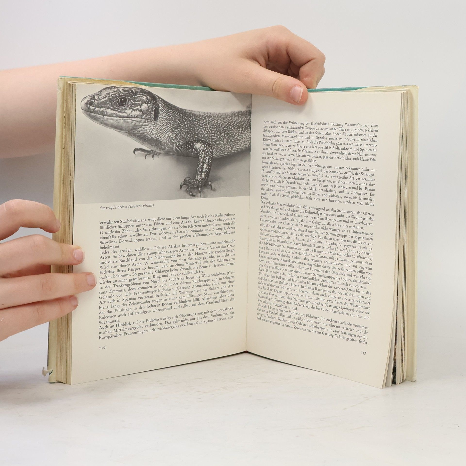 Autorenkollektiv Knaurs Tierreich in Farben. Reptilien