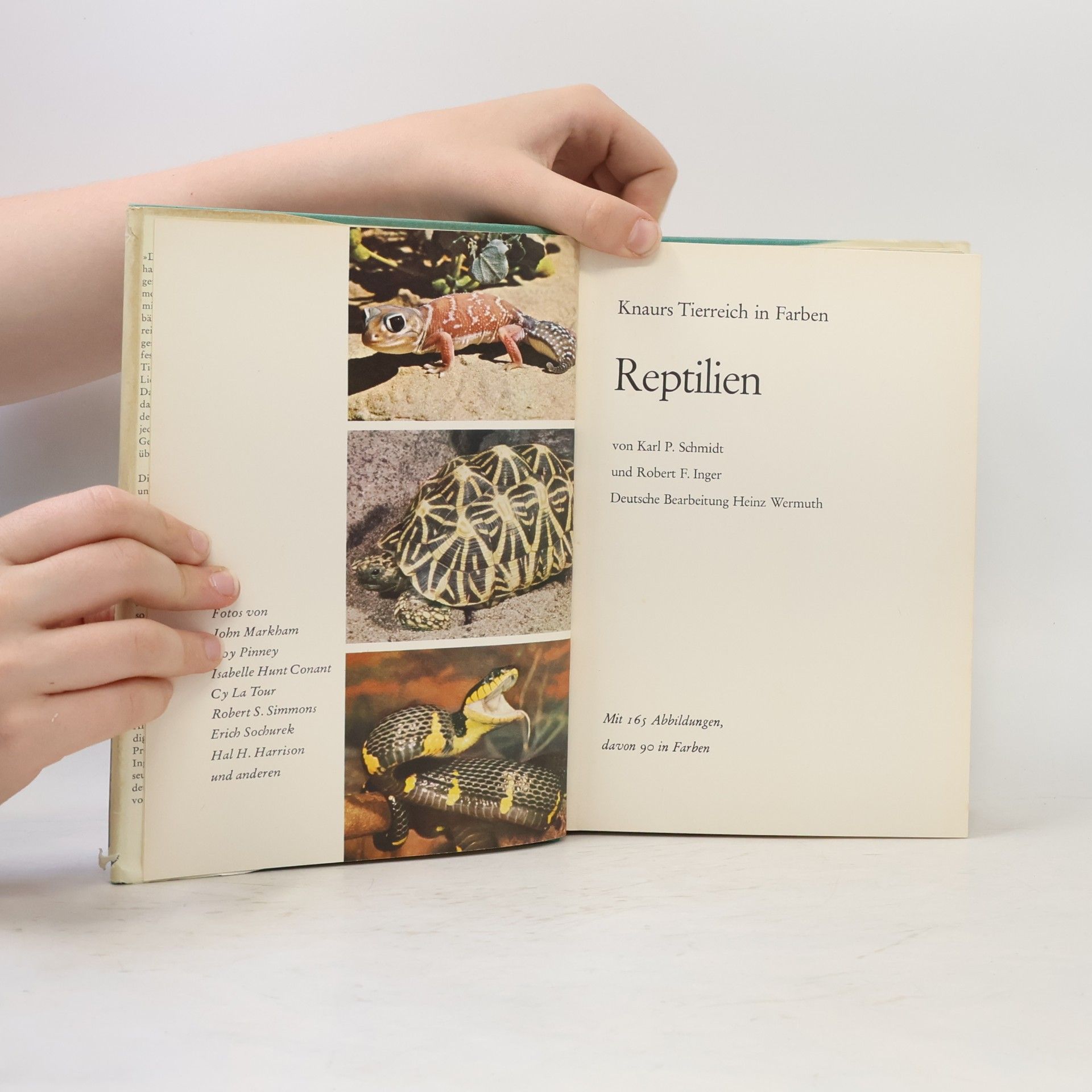 Autorenkollektiv Knaurs Tierreich in Farben. Reptilien