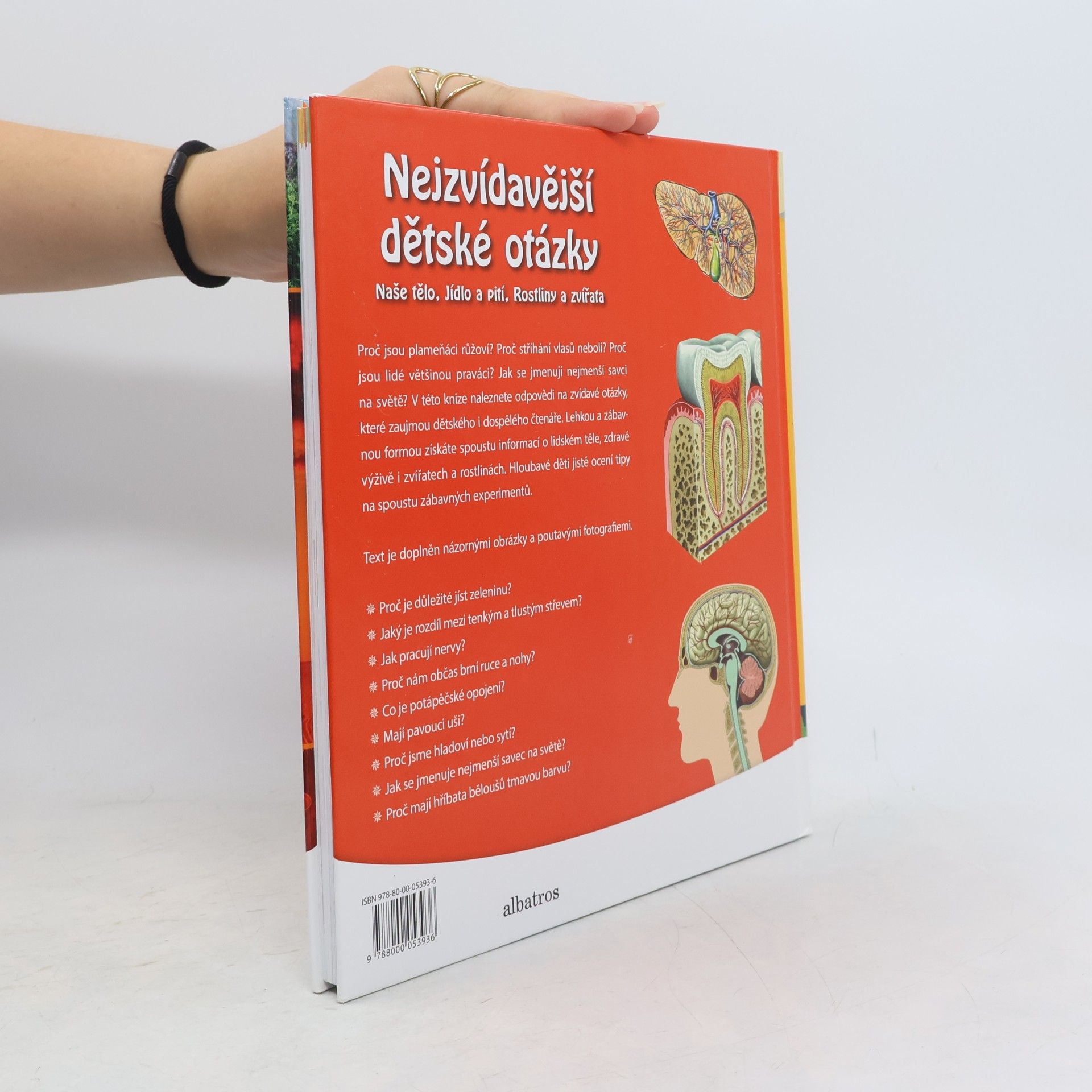 Kolektiv autorů Nejzvídavější dětské otázky