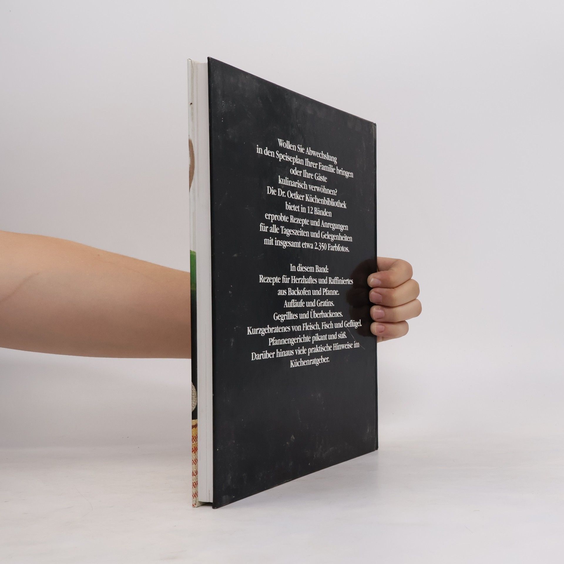 Collectif d'auteurs Dr. Oetker Küchen-Bibliothek: Köstlichkeiten aus Backofen und Pfanne