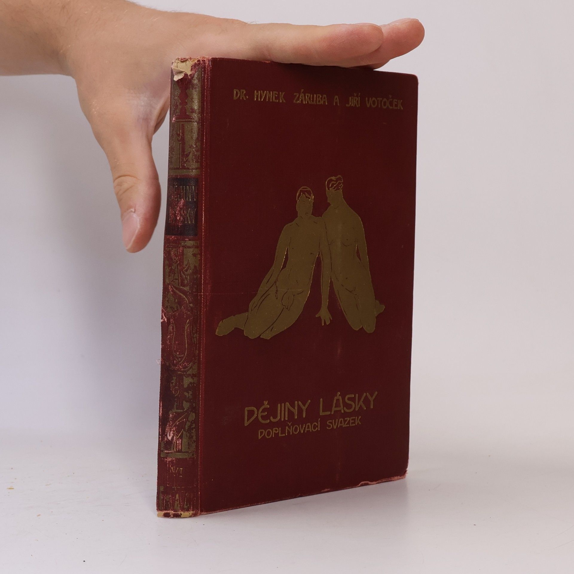 Hynek Záruba Dějiny lásky. Doplňovací svazek