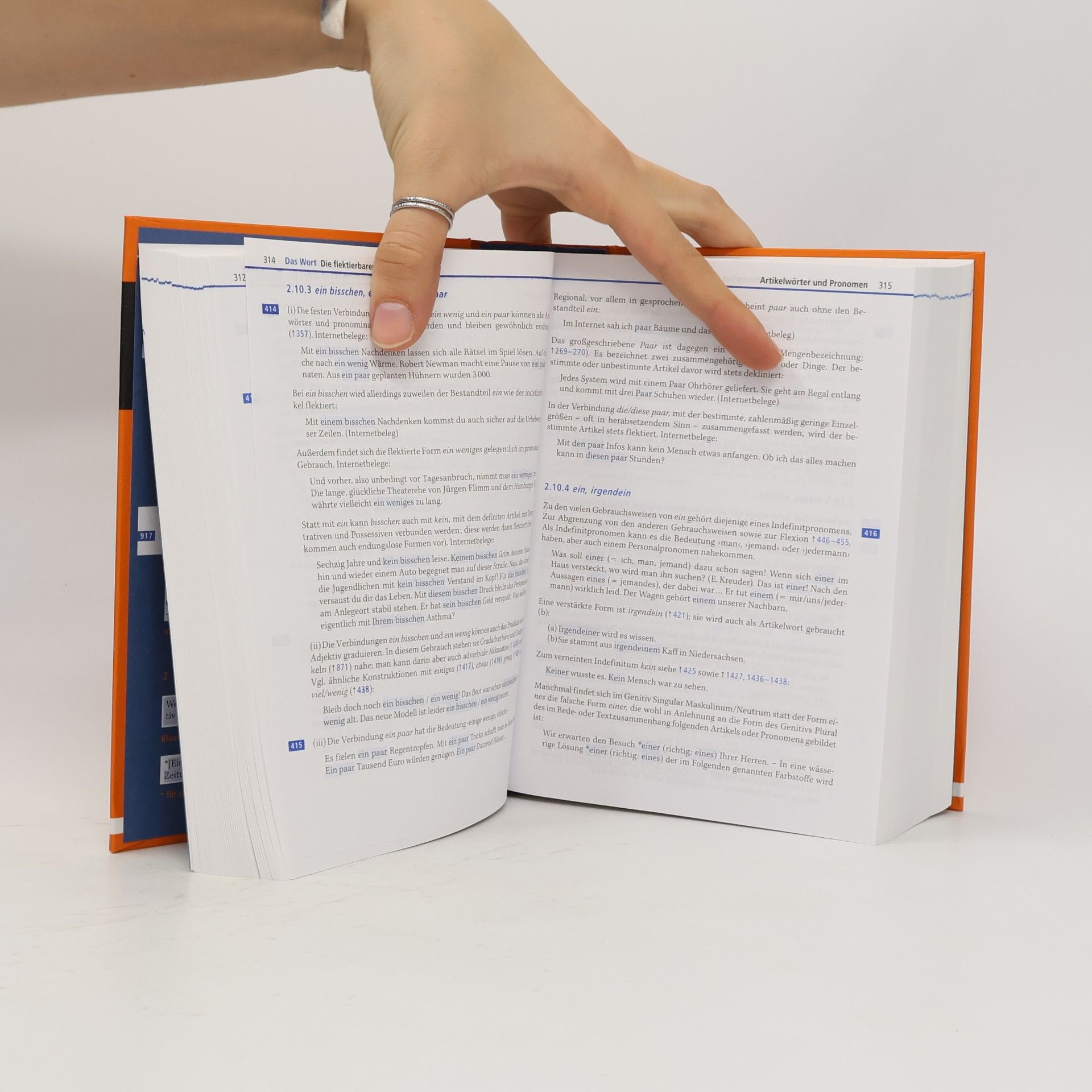 Angelika Wöllstein Leisten Duden : die Grammatik