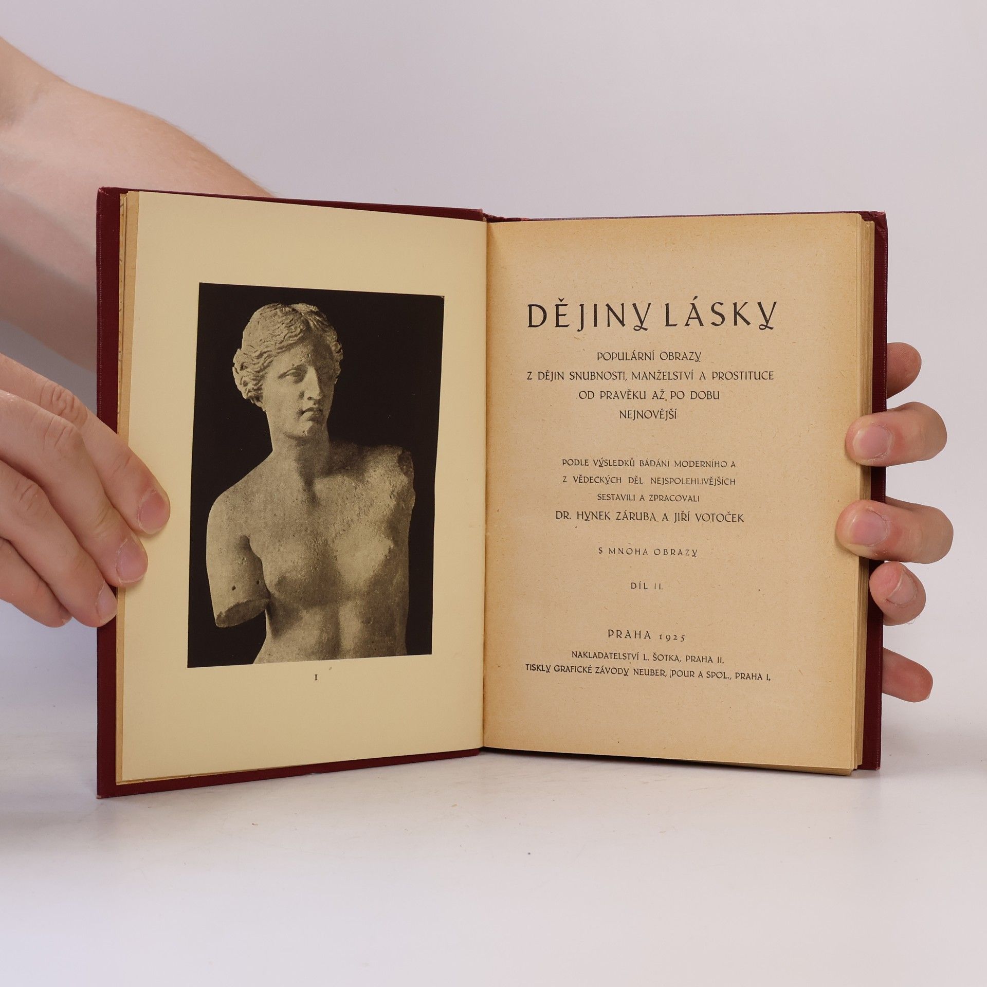 Hynek Záruba Dějiny lásky II.