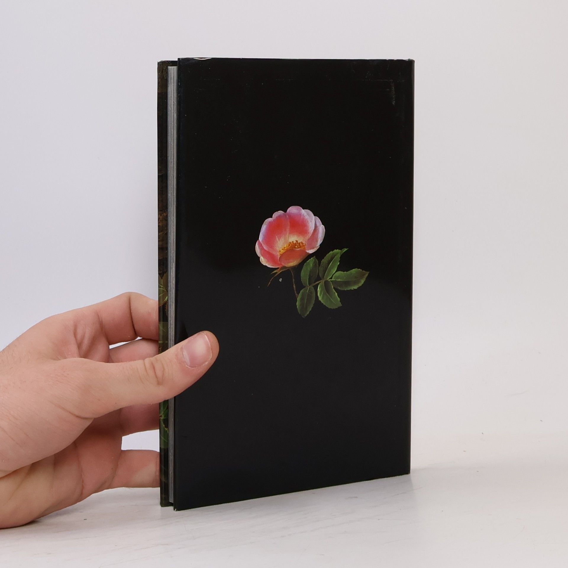 Annie von der Heide "Herein", sagte die kleine Blume