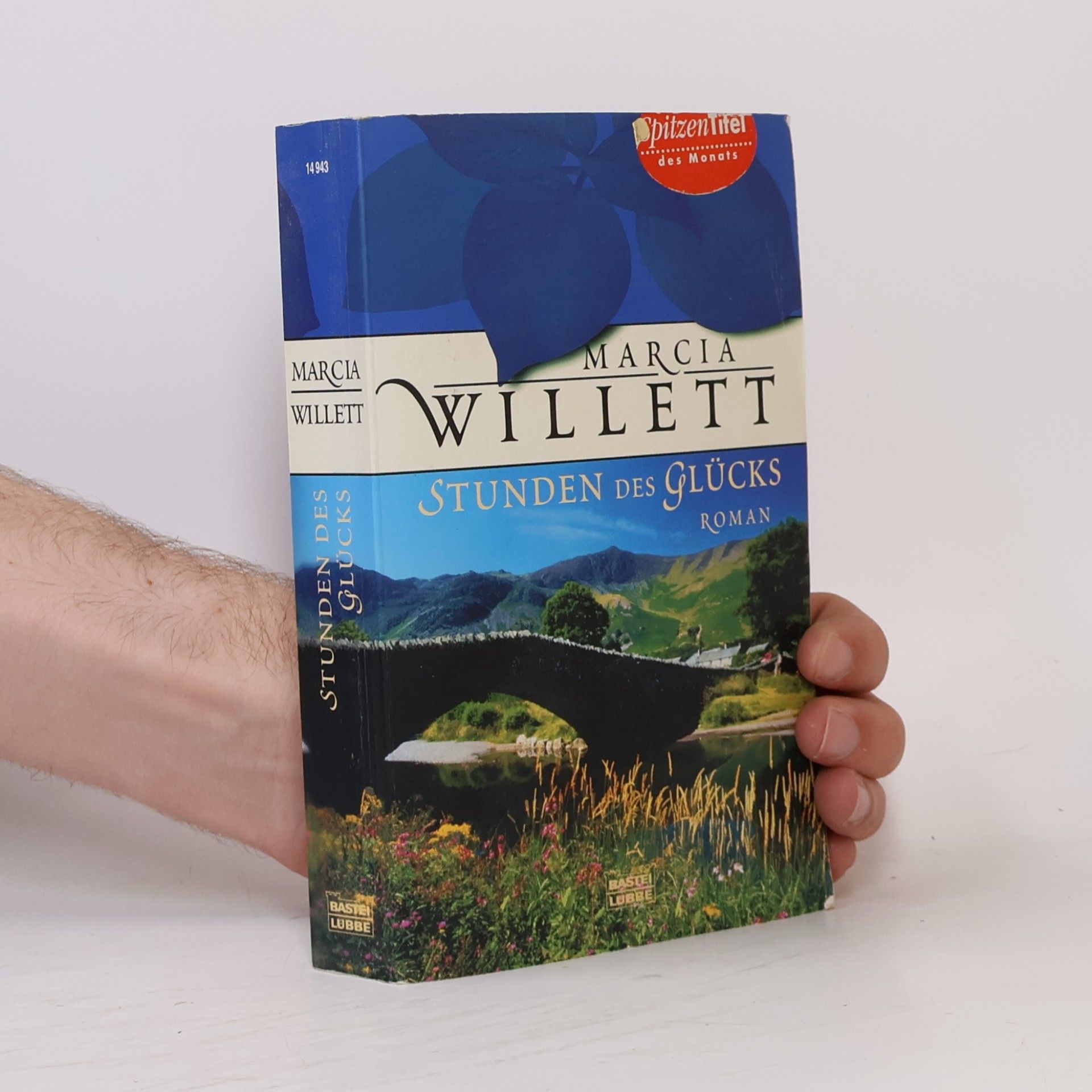 Marcia Willett Stunden des Glücks