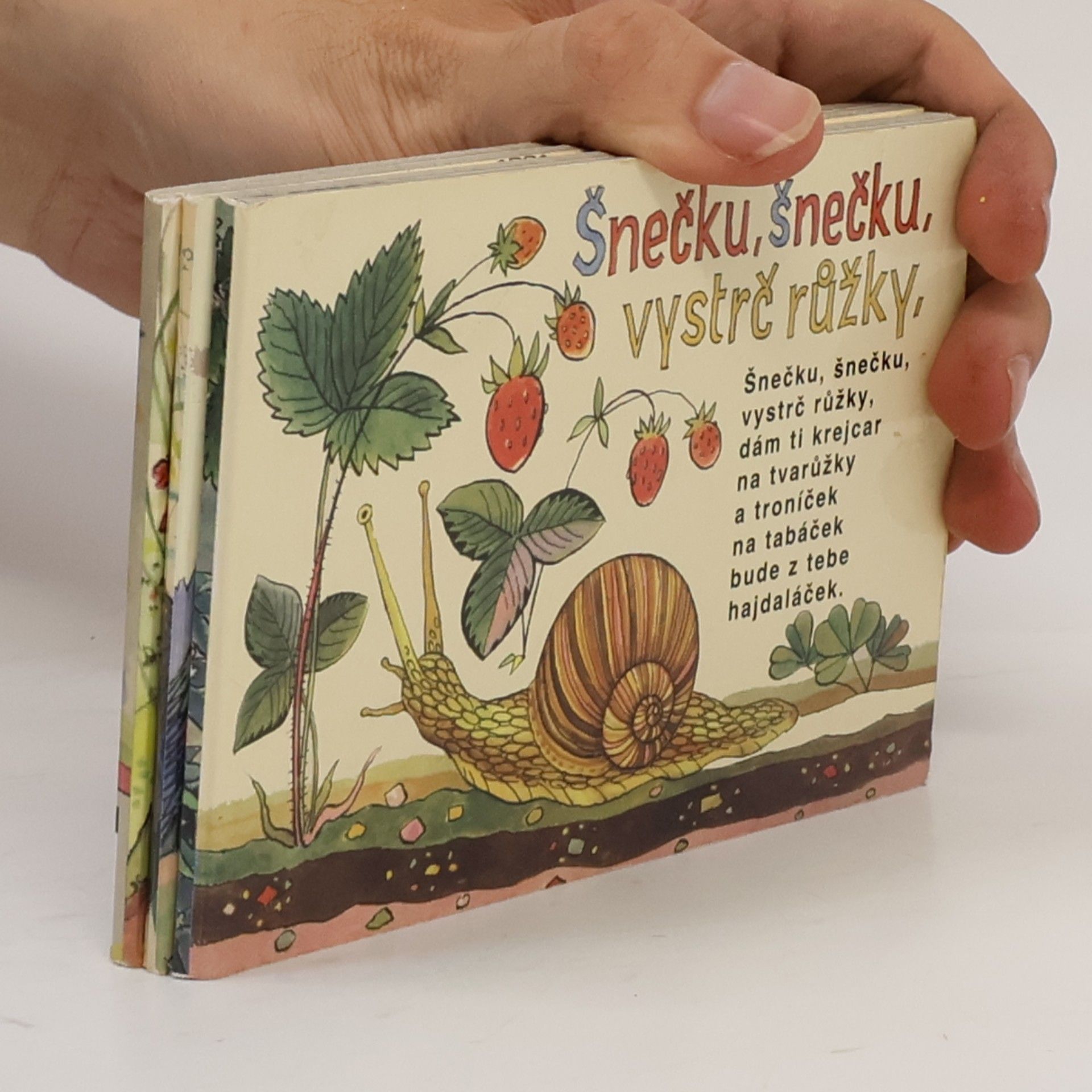 Šnečku, šnečku, vystrč růžky