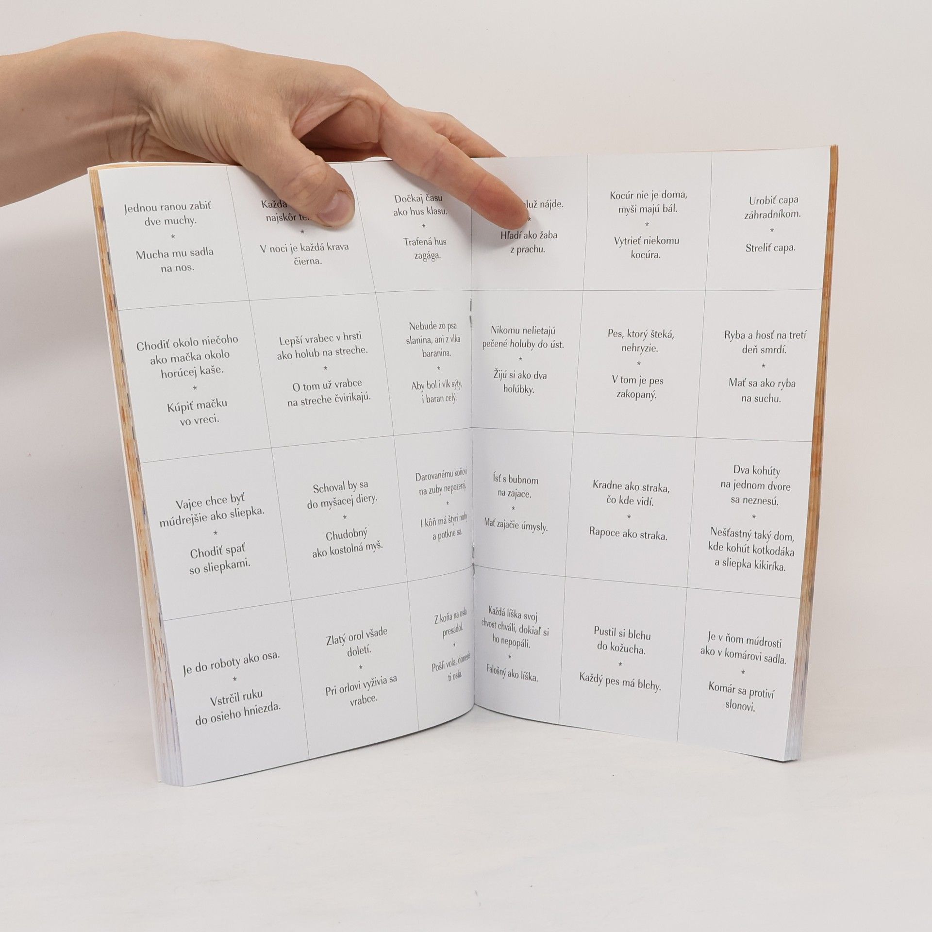 Jarmila Krajčovičová Pomocník z literatúry pre 6. ročník ZŠ - Pracovný zošit