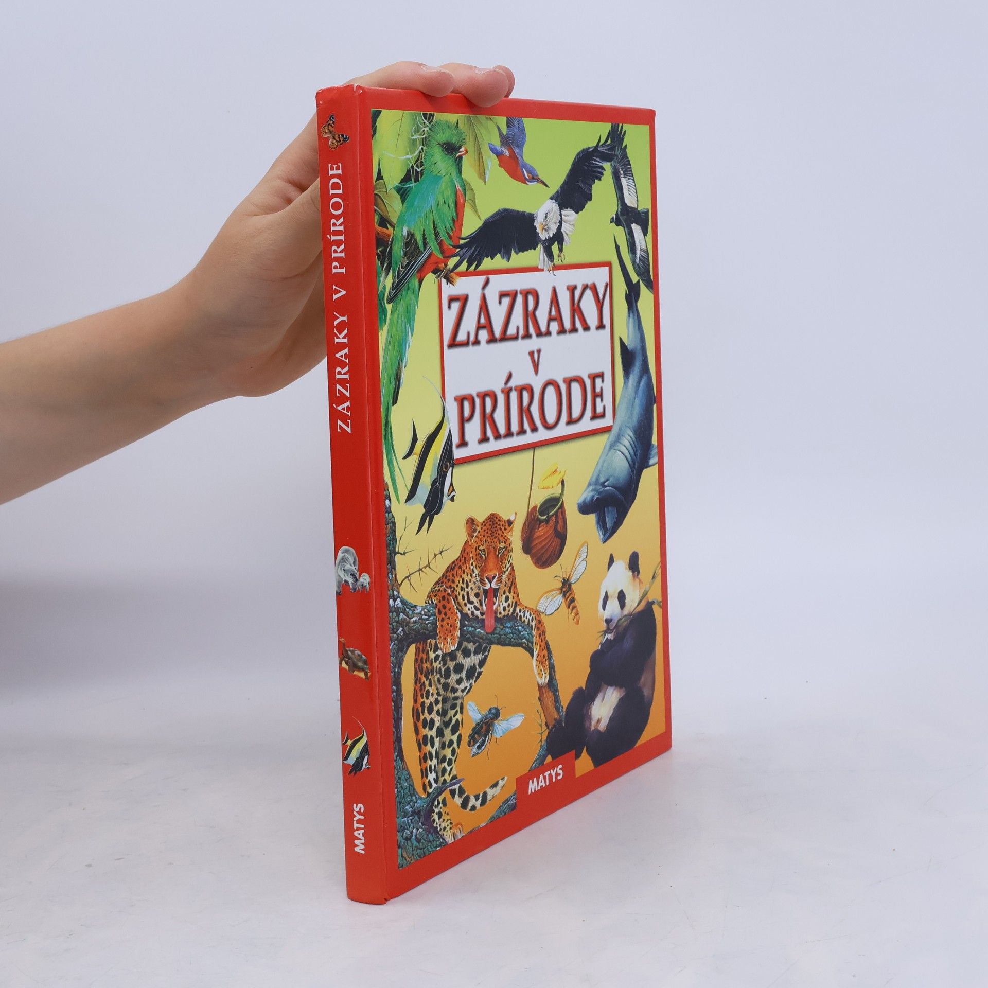 Autorenkollektiv Zázraky v prírode