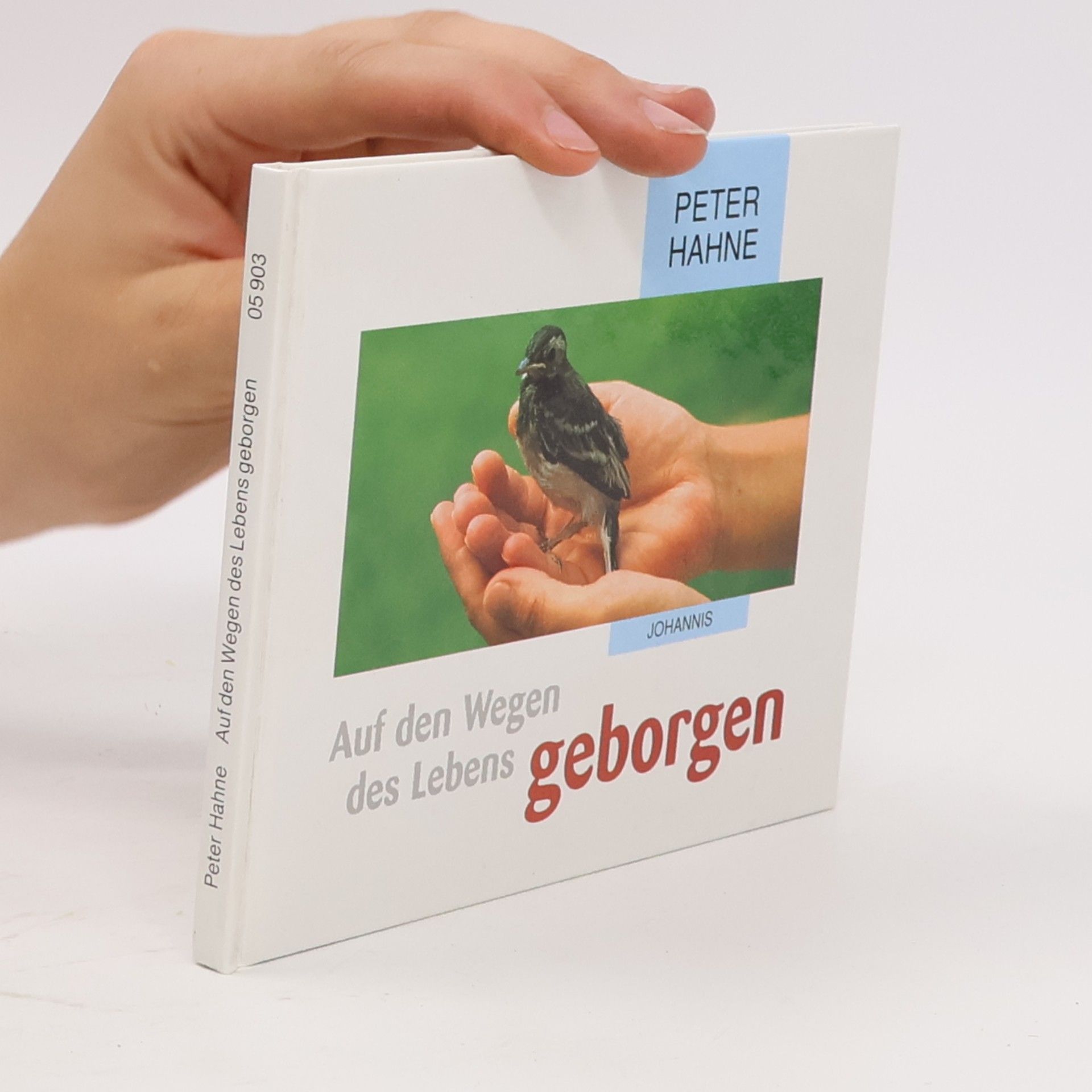 Auf den Wegen des Lebens geborgen