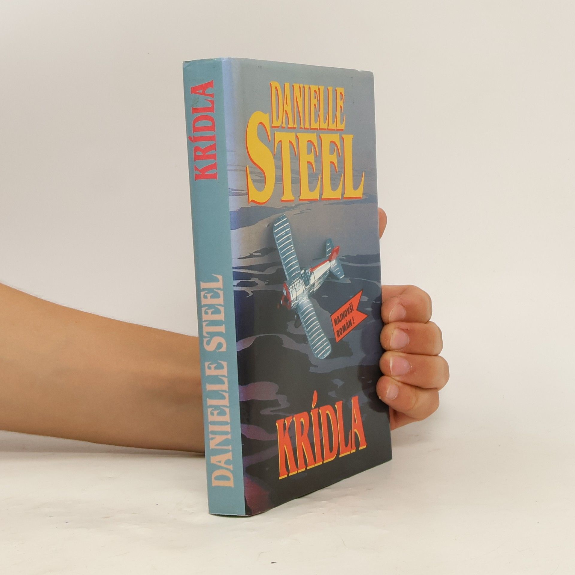 Danielle Steel Krídla