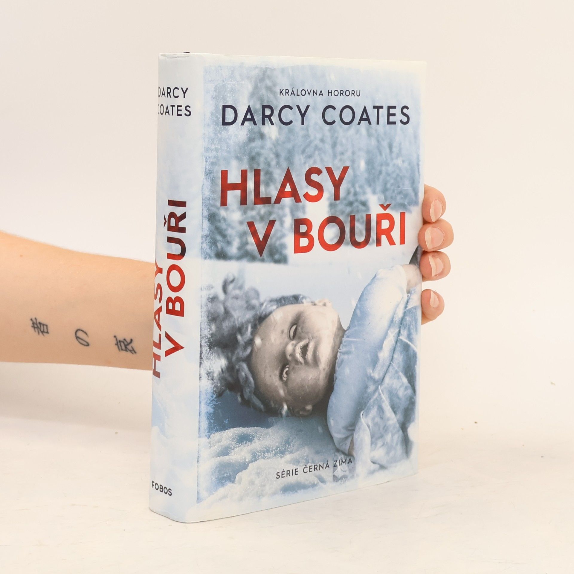 Darcy Coates Hlasy v bouři